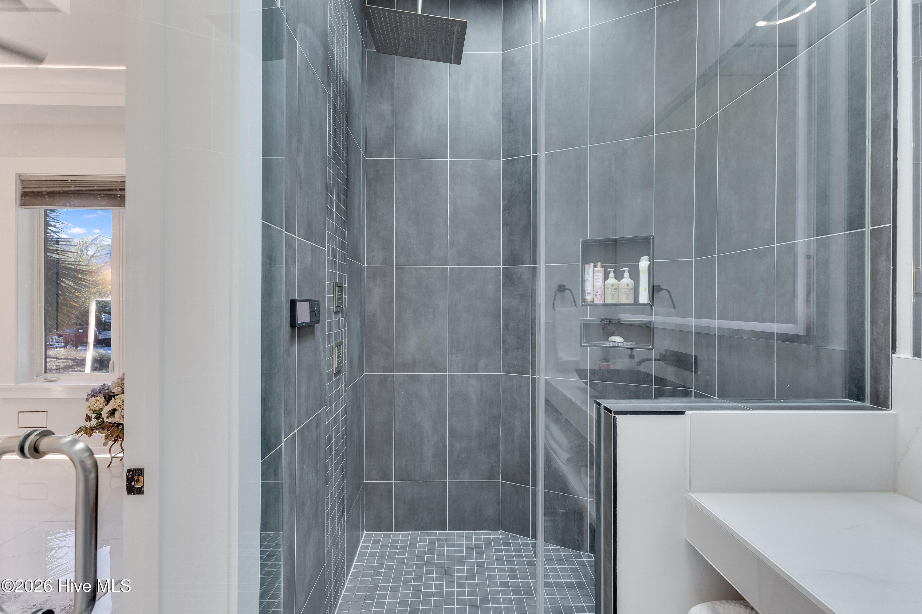 100559856 | Photo 50