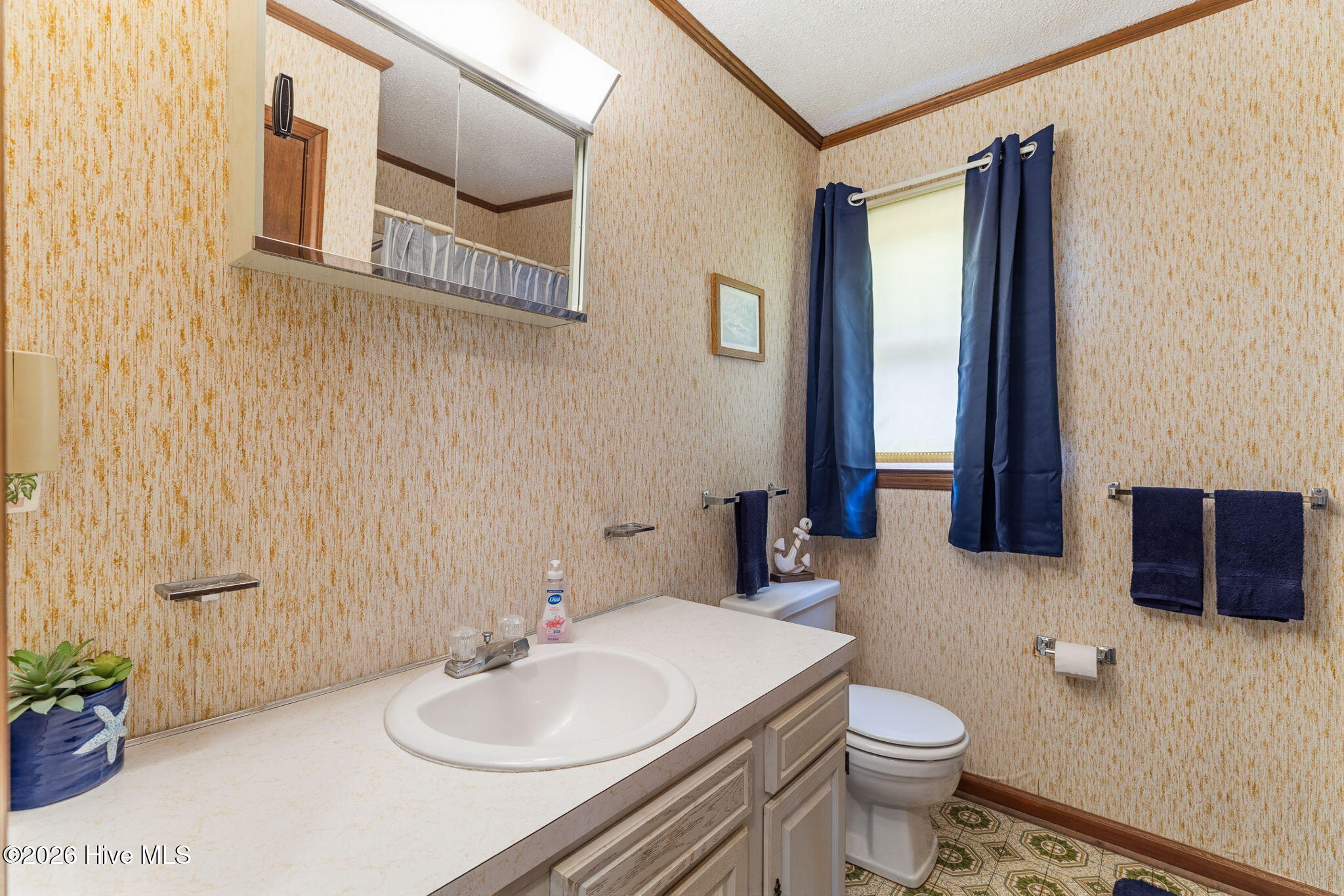 100565875 | Photo 26