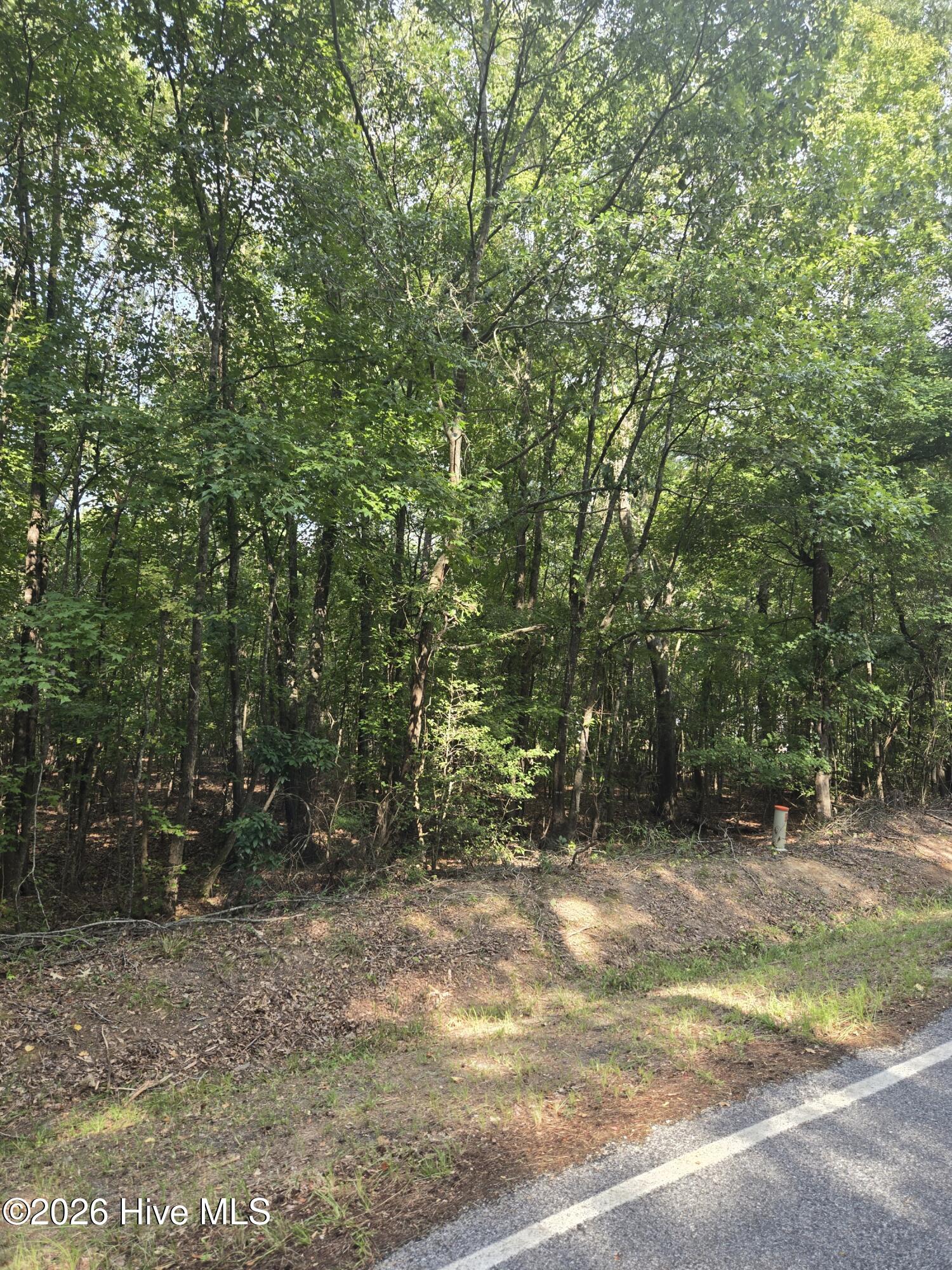 11th image of 0 Deer Run Ct, Lincolnton, GA 30817 | MLS# 100598162