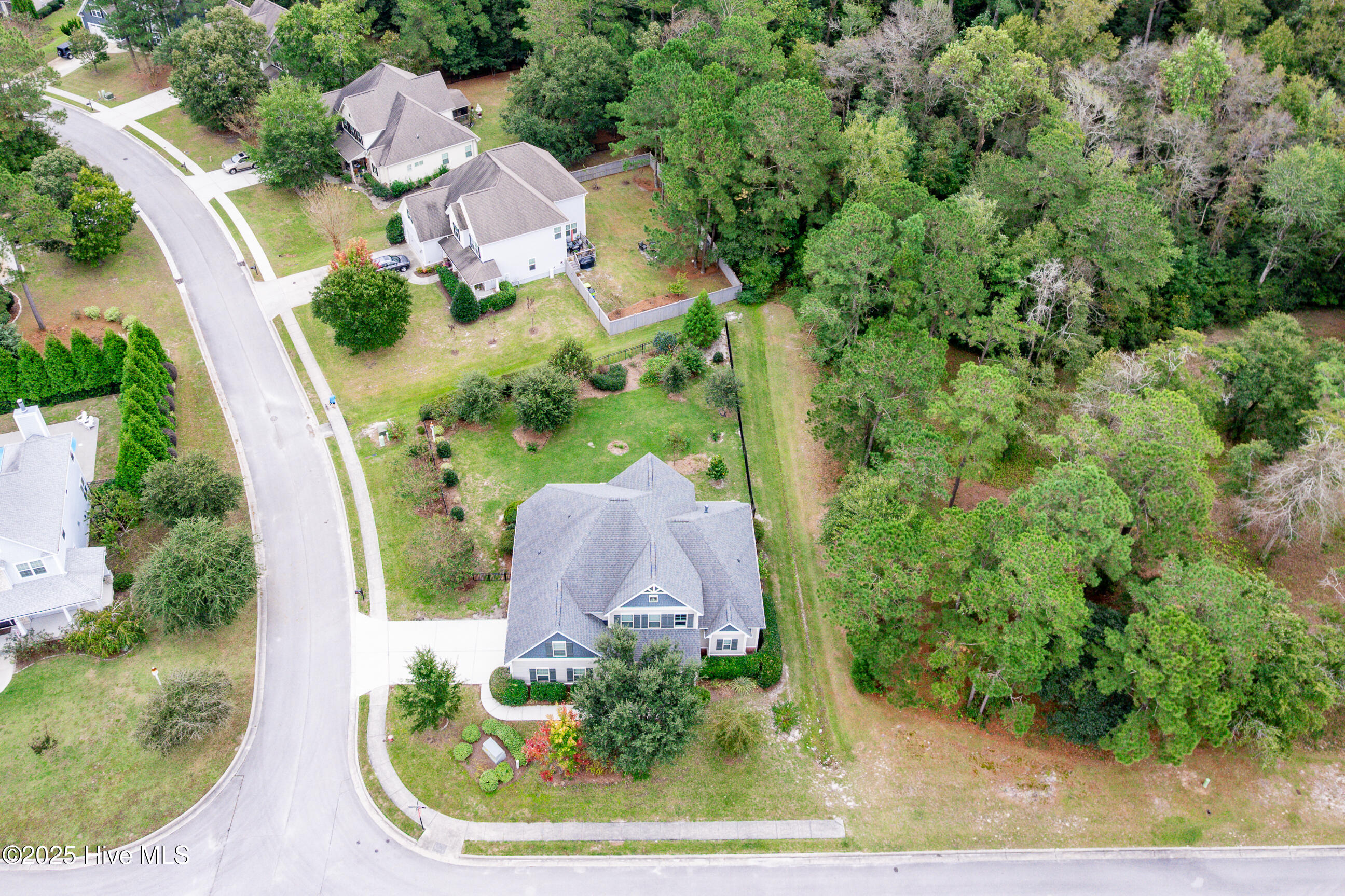 100534677 | Photo 56