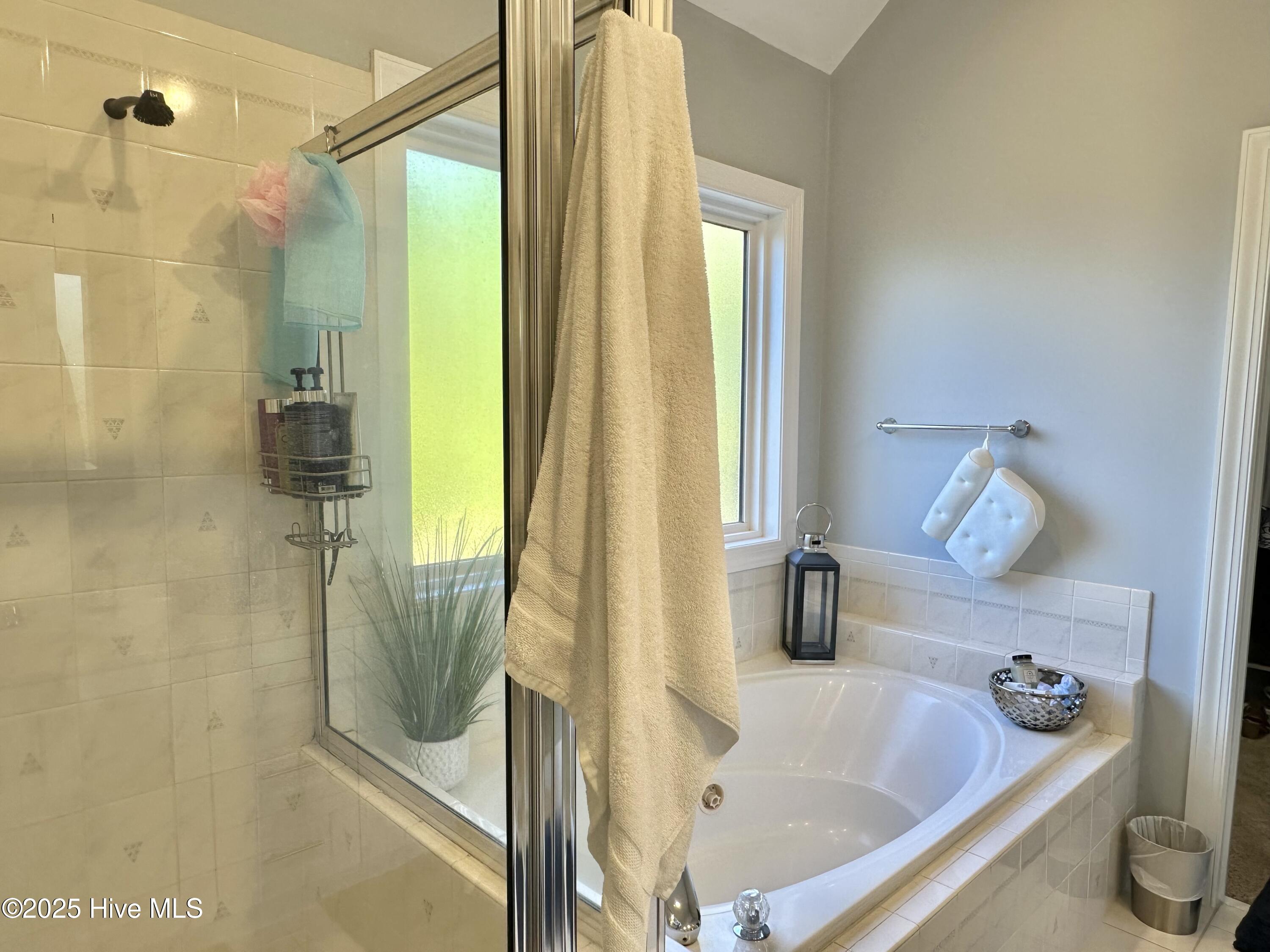 100536652 | Photo 12