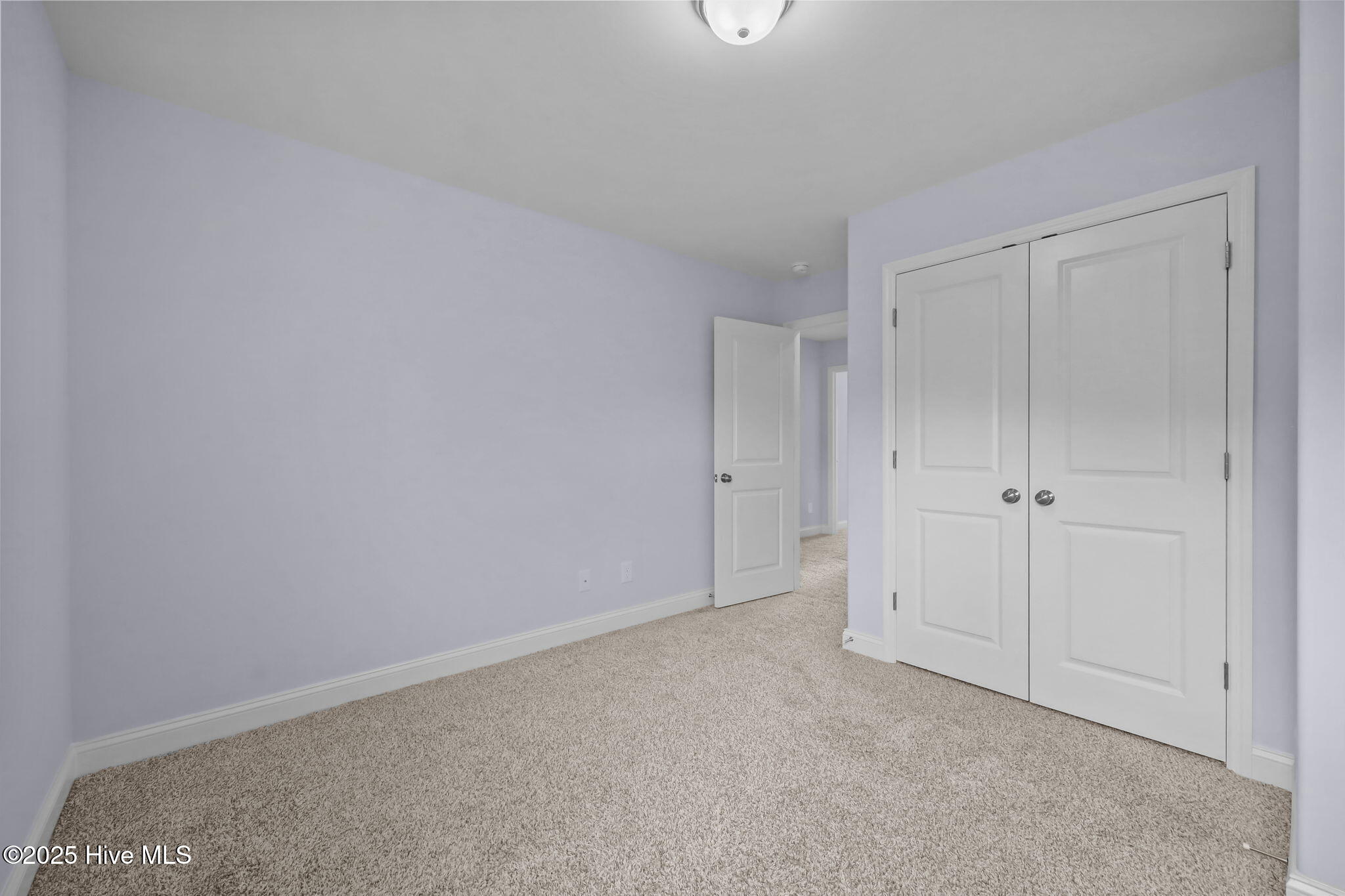 100519667 | Photo 27