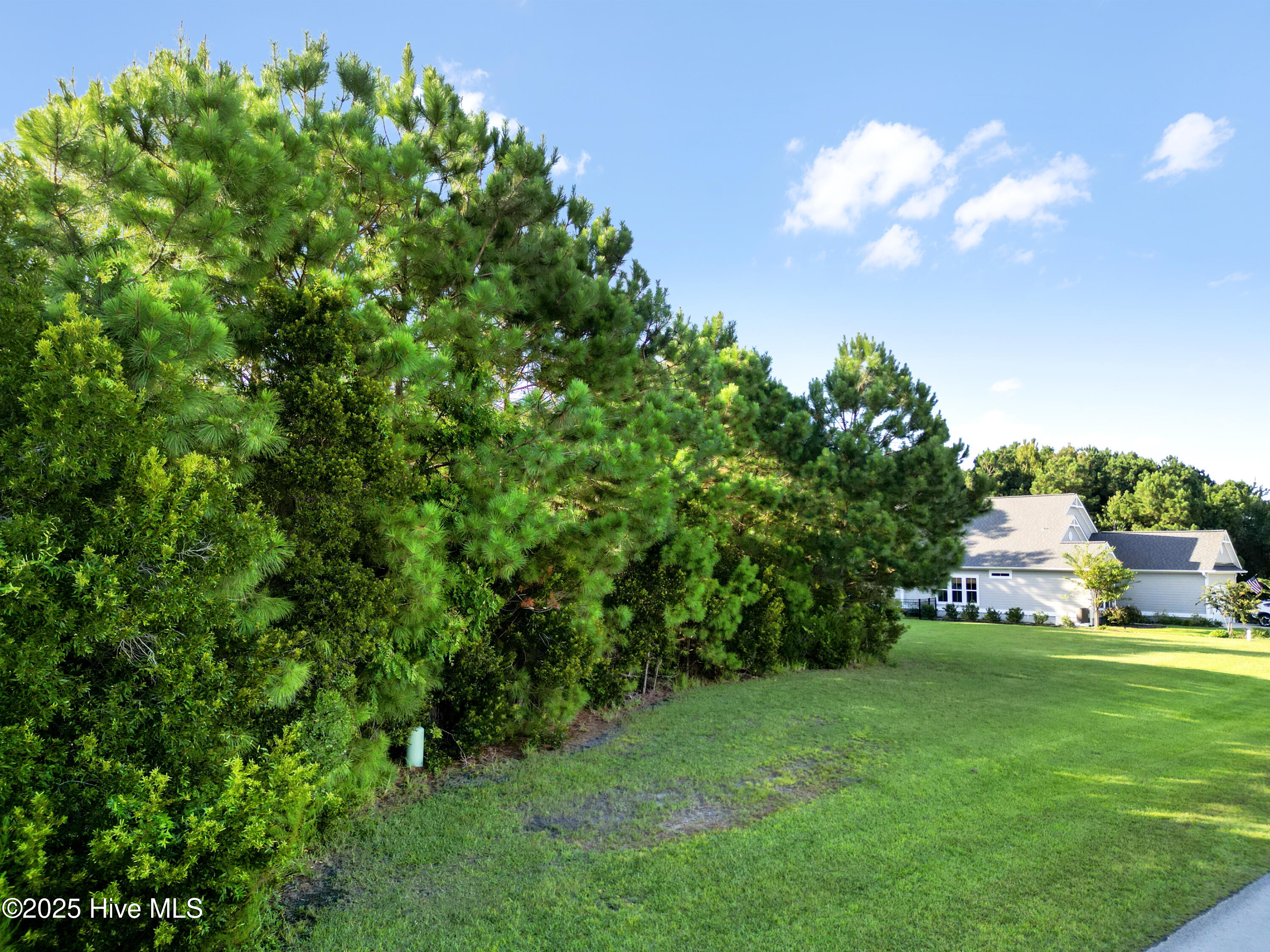 100523400 | Photo 16