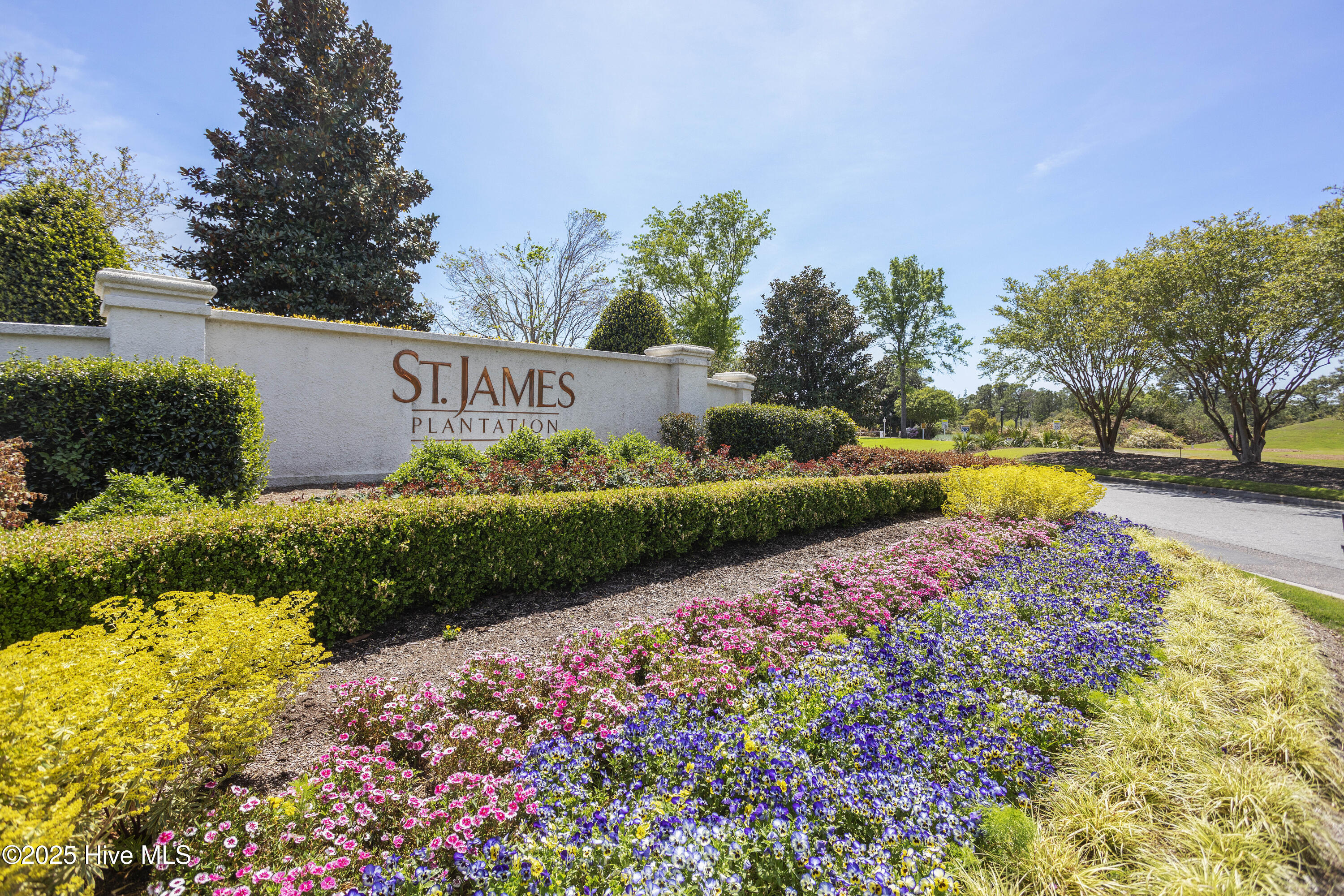 100538246 | Photo 25