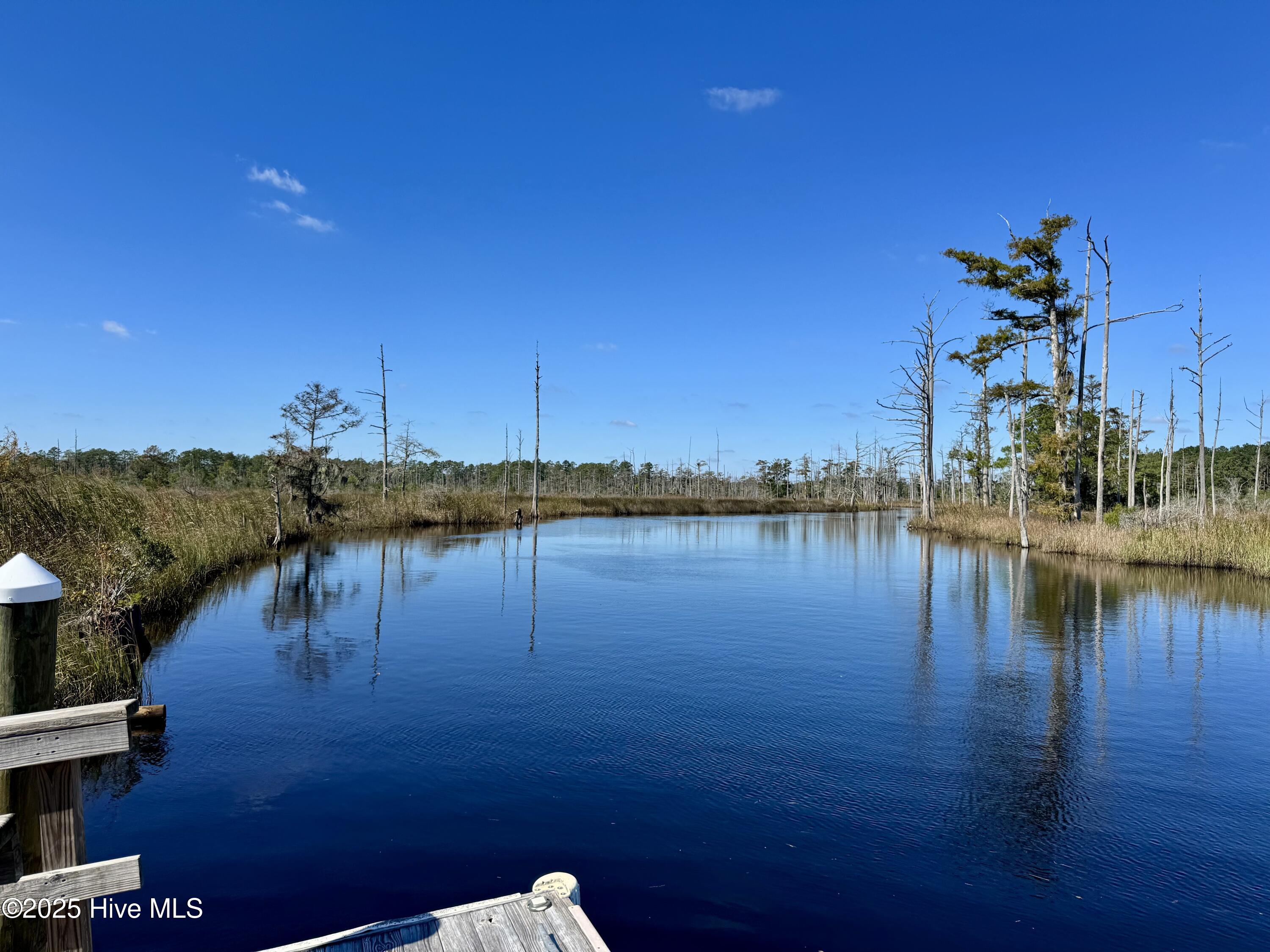 100535881 | Photo 17