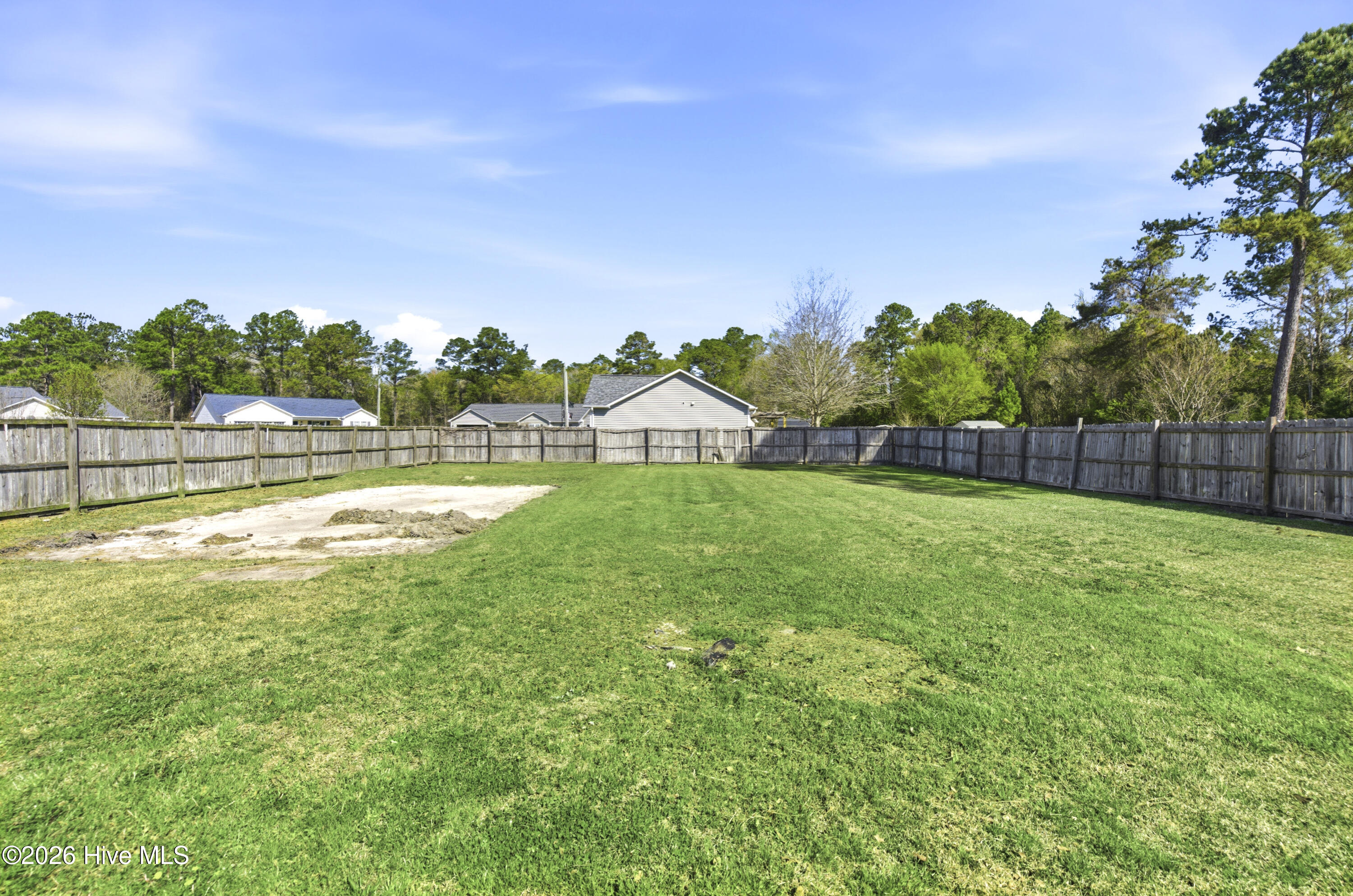 100564497 | Photo 30