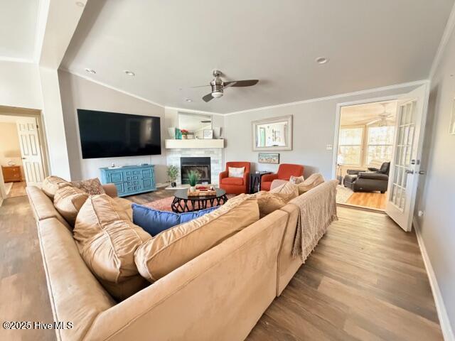 100546387 | Photo 19