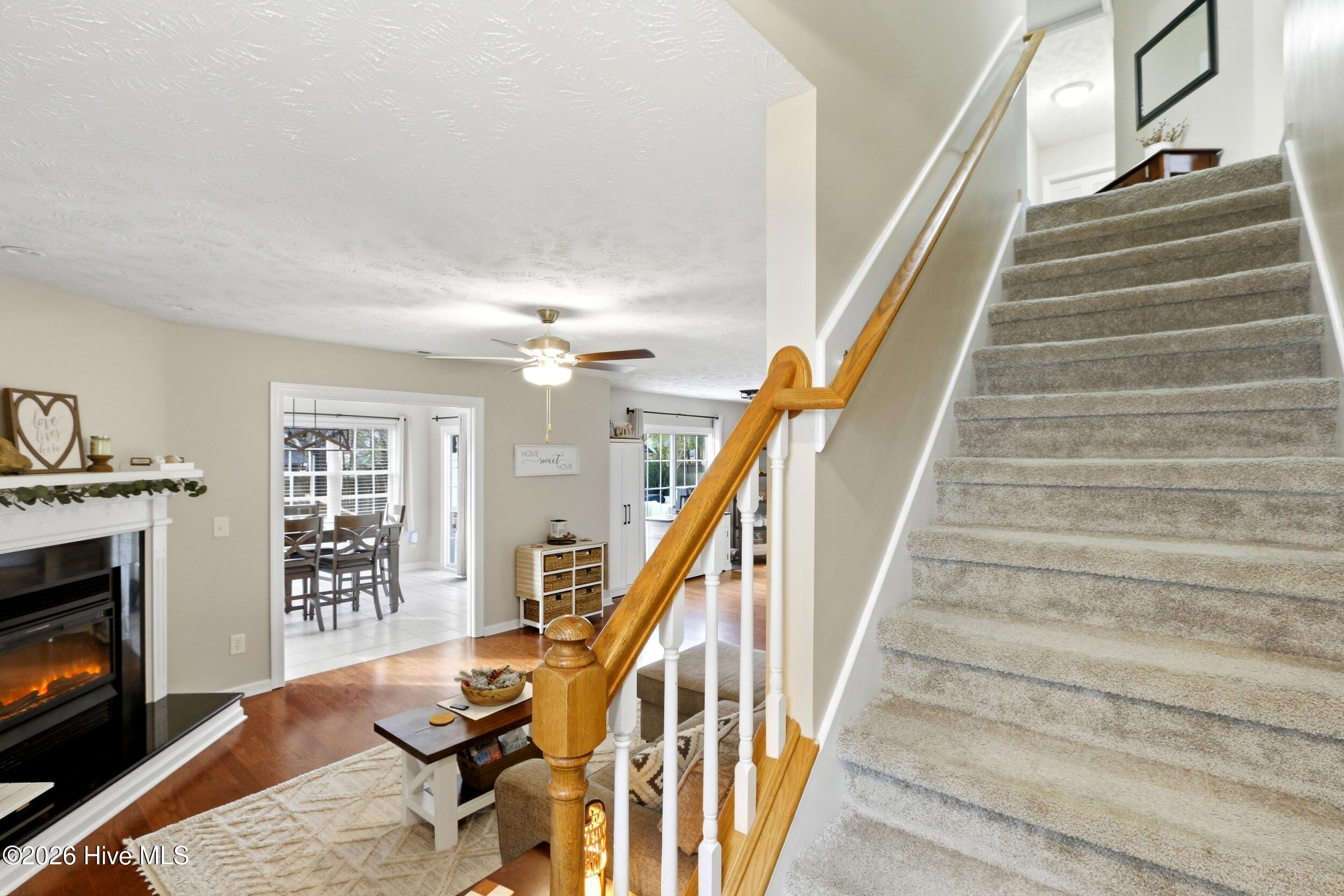 100551374 | Photo 33