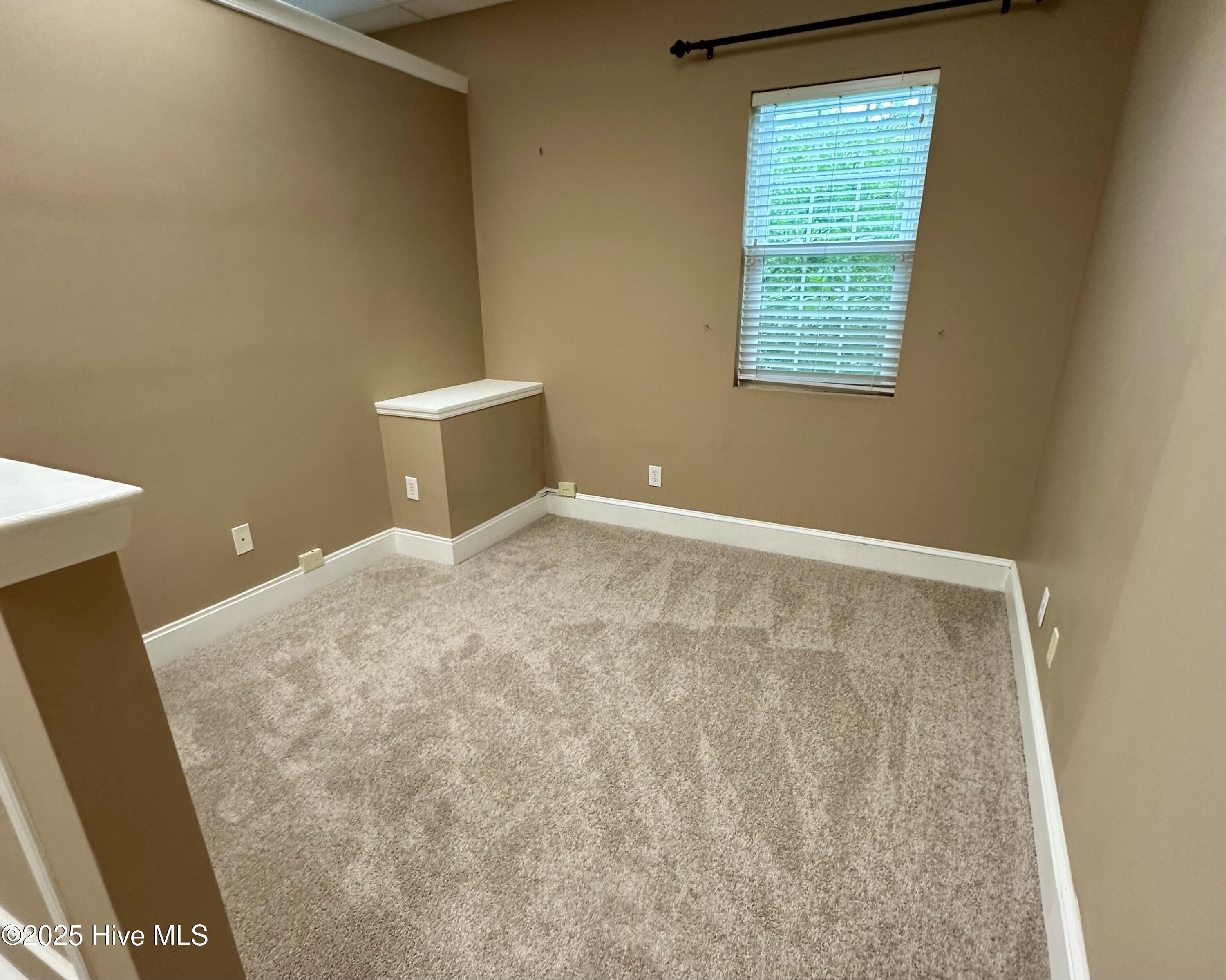 100516954 | Photo 15