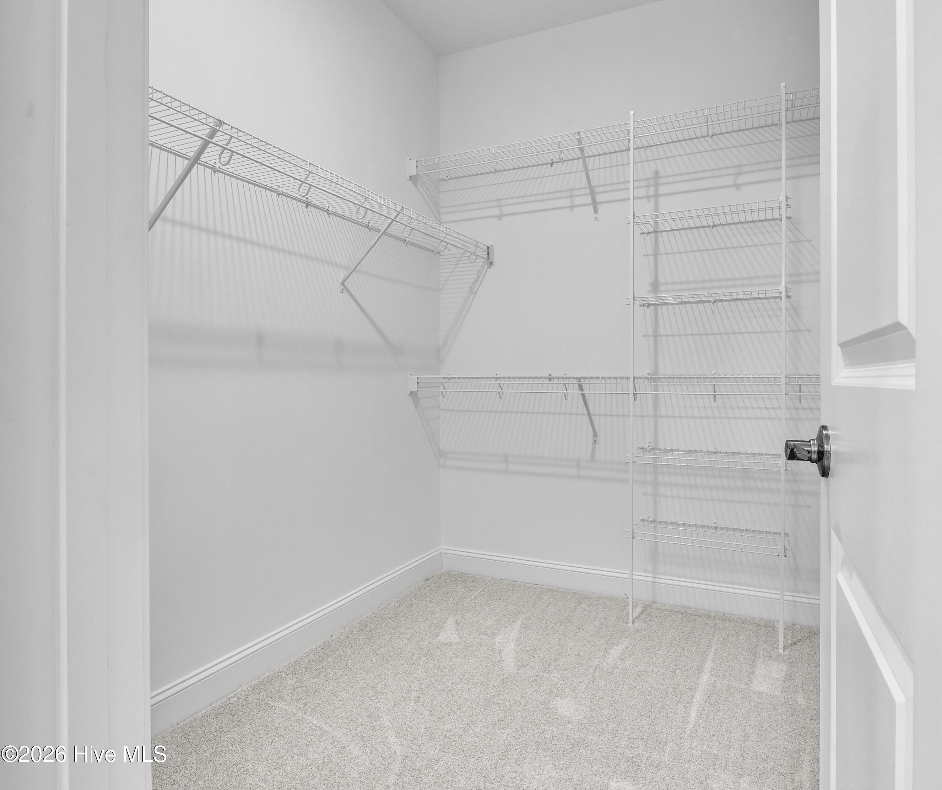 100561005 | Photo 37