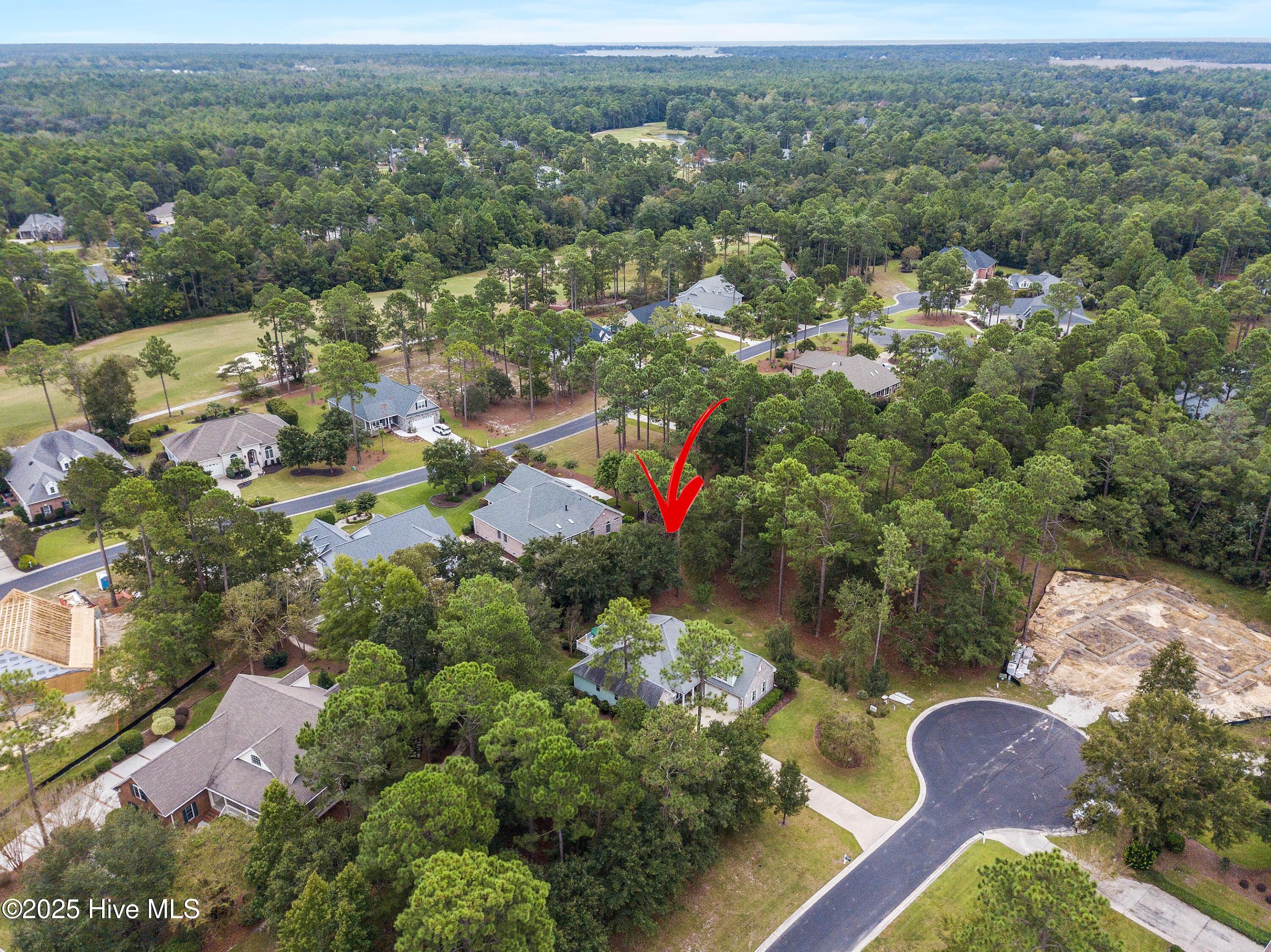 100528316 | Photo 71