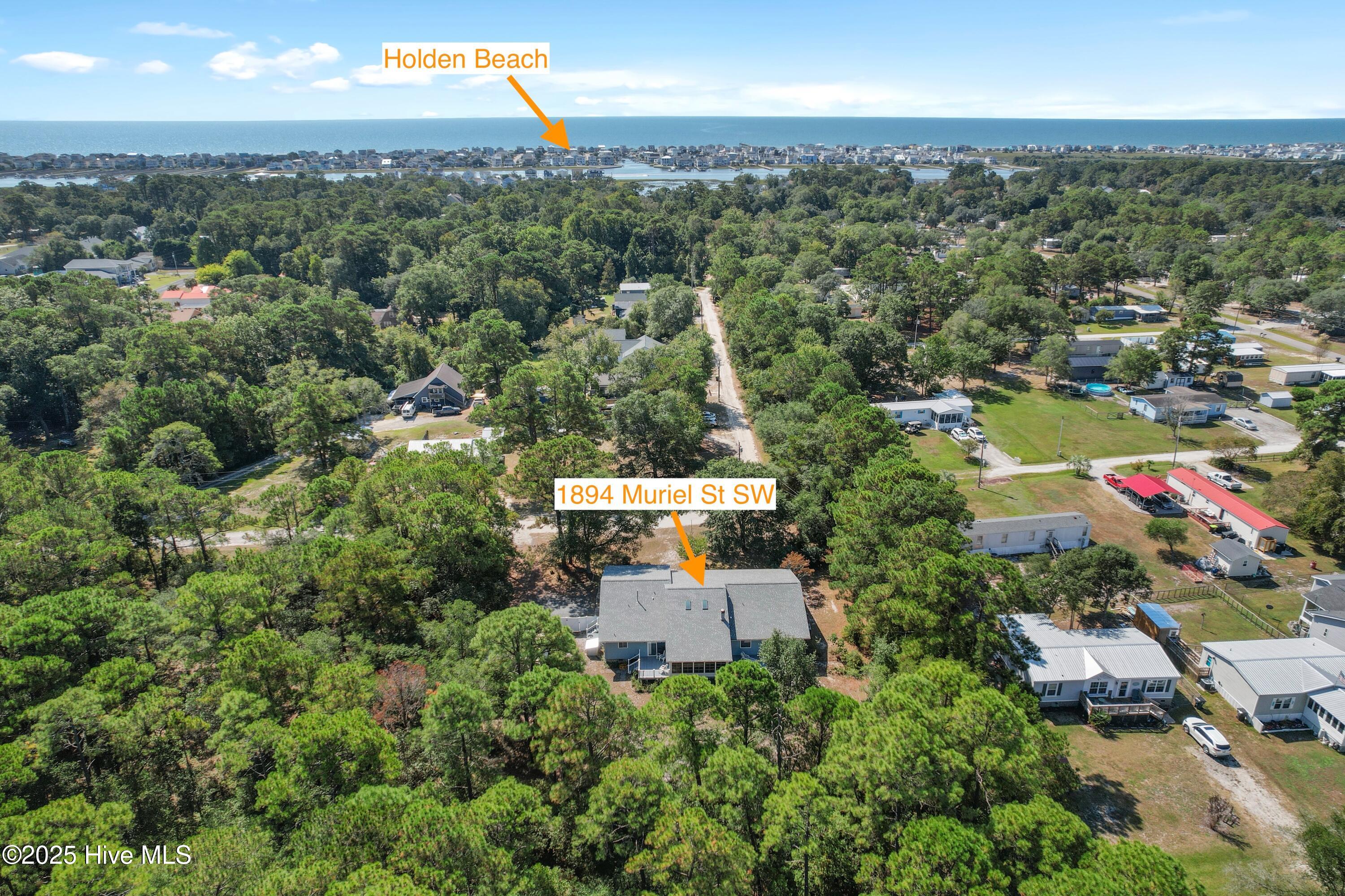 100533822 | Photo 55