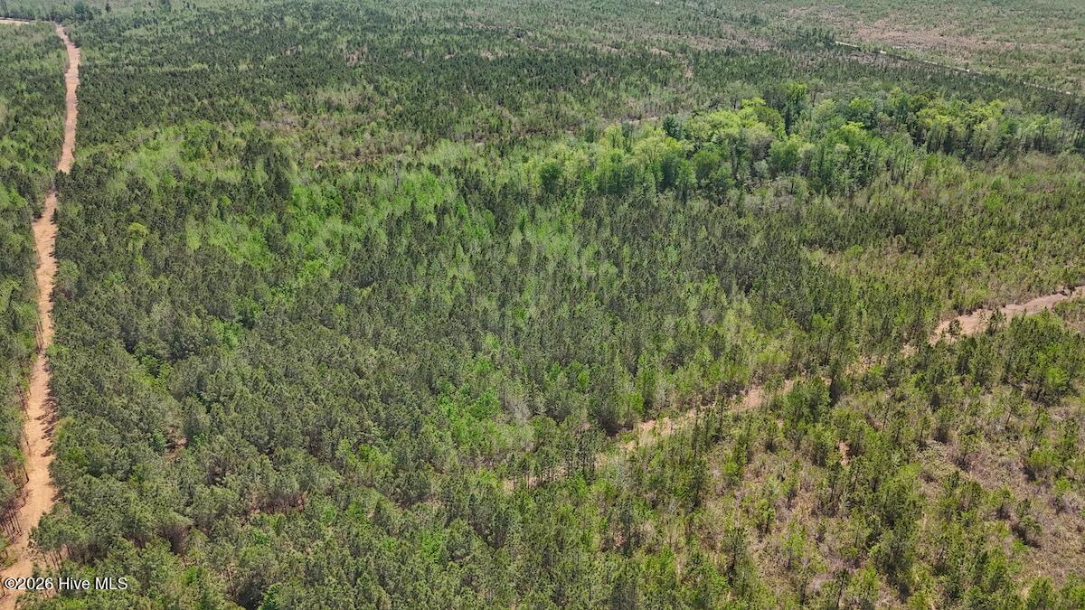 0 Guinea Mill Road, Ernul, NC, 28527