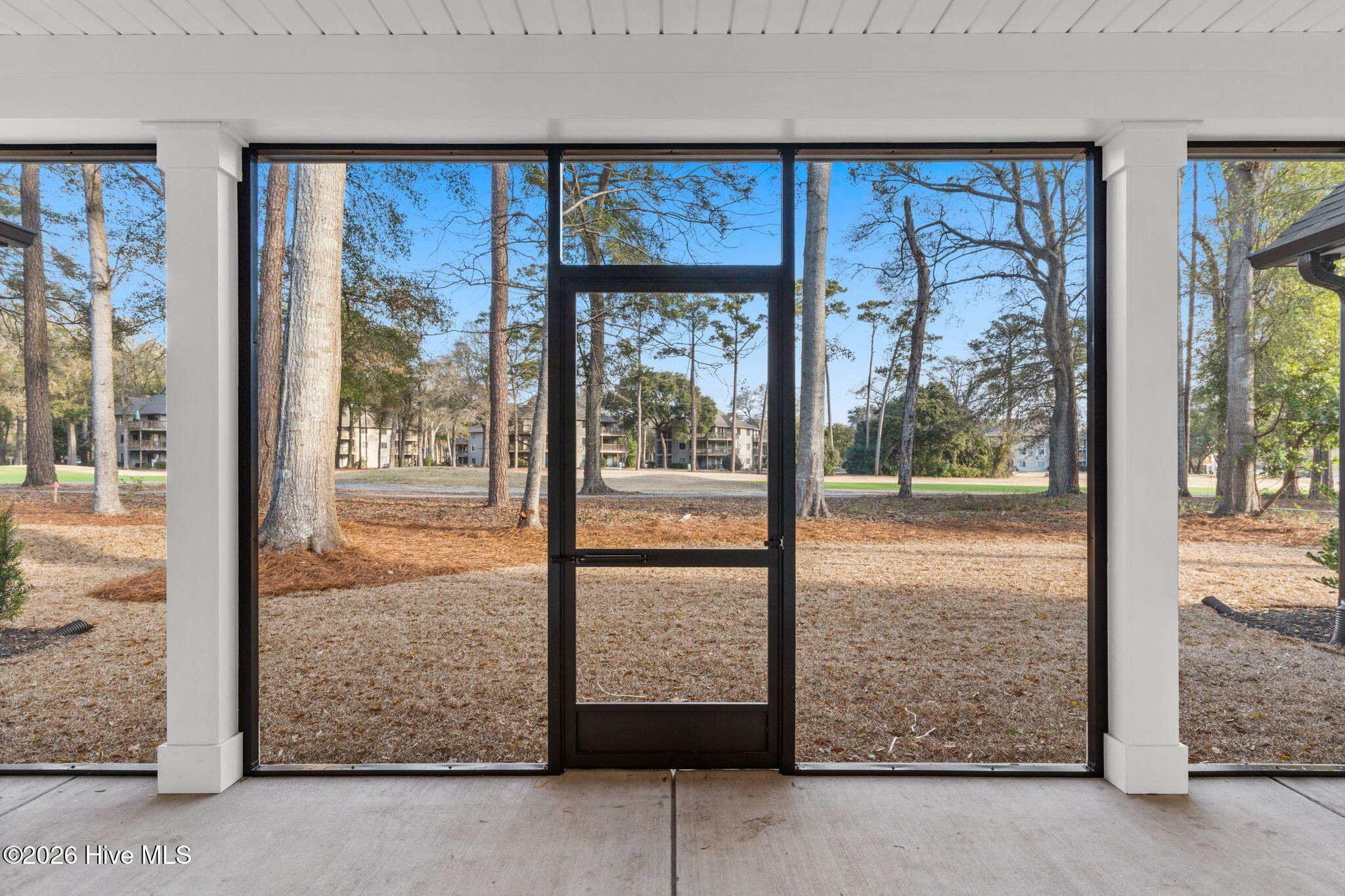 100558111 | Photo 38