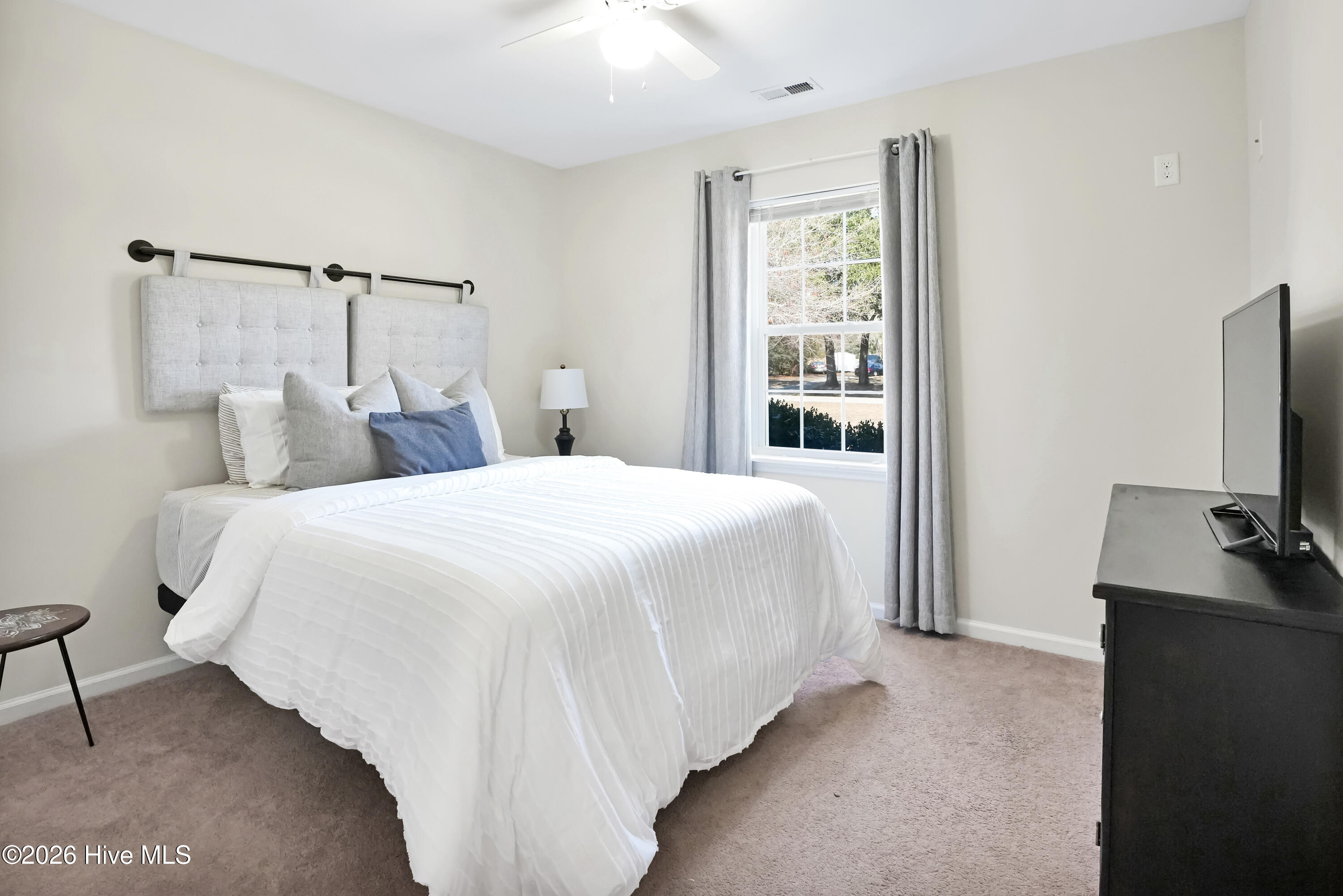 100555387 | Photo 16