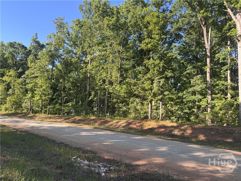 Lot 2 Union Church Road, Carthage, NC, 28327