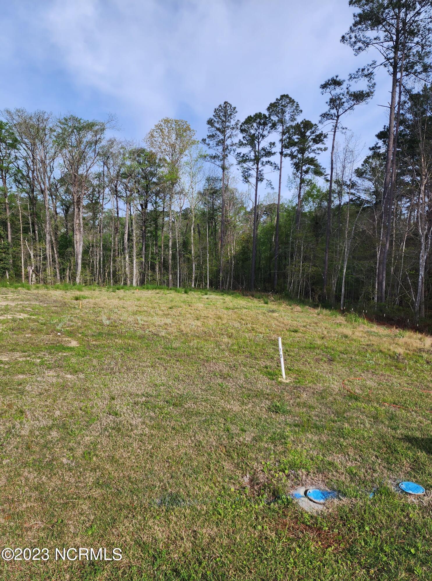 3008 Verdant Ridge 2