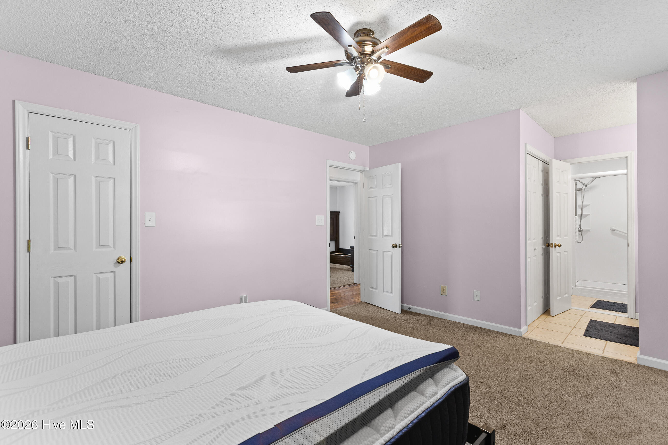 100565409 | Photo 15