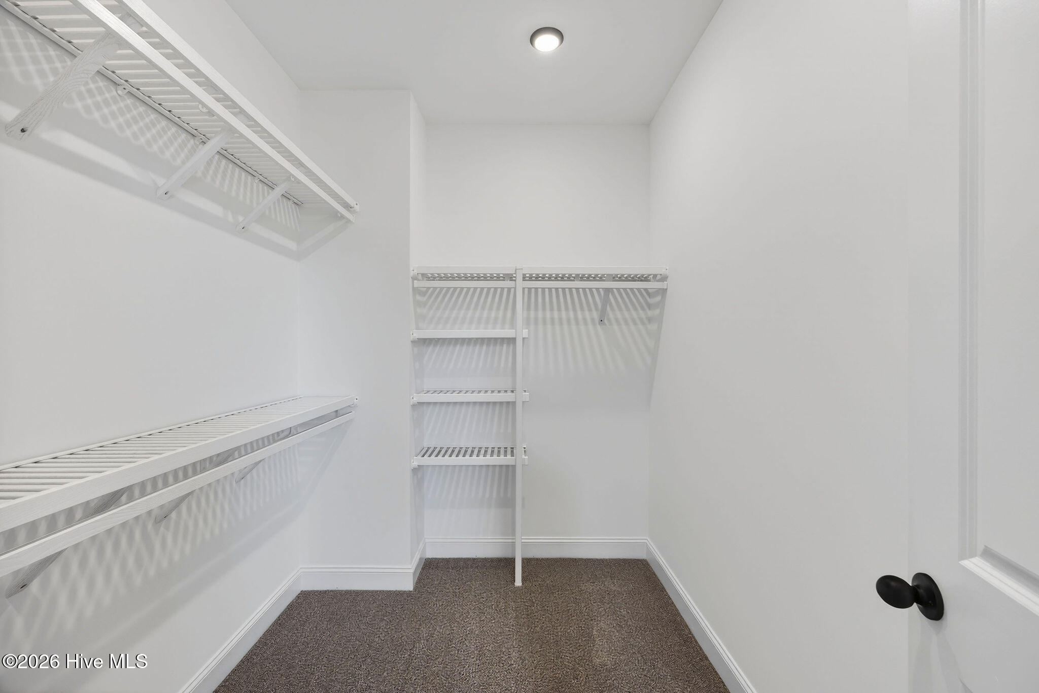 100542408 | Photo 37