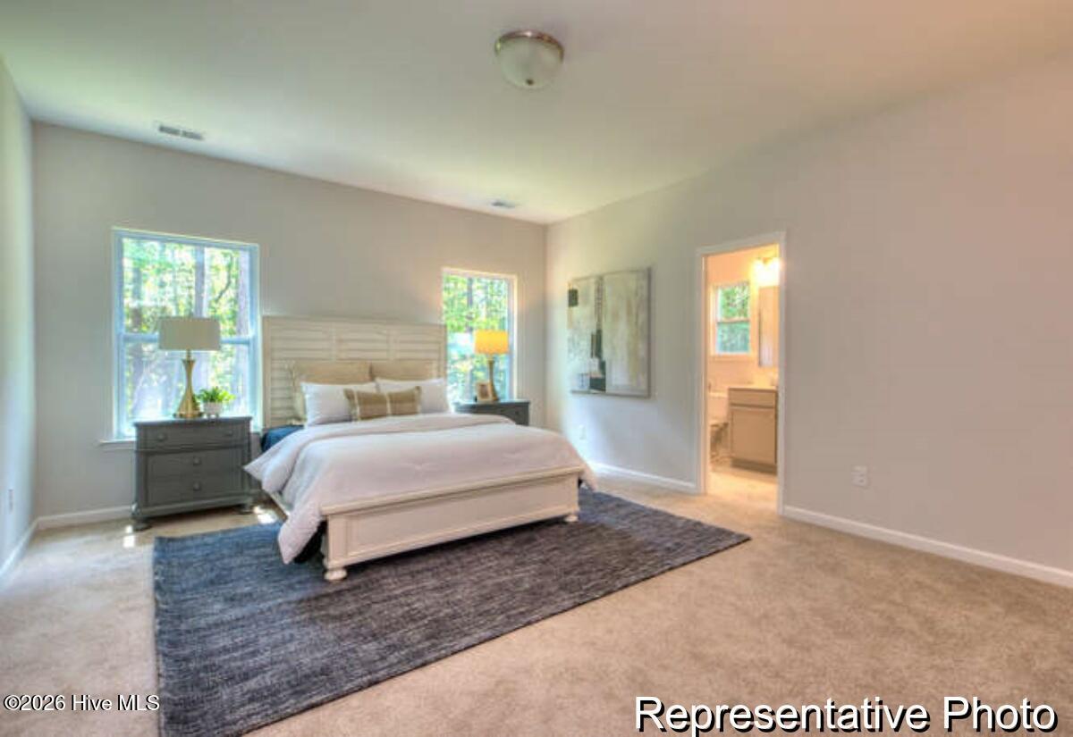 100555461 | Photo 13