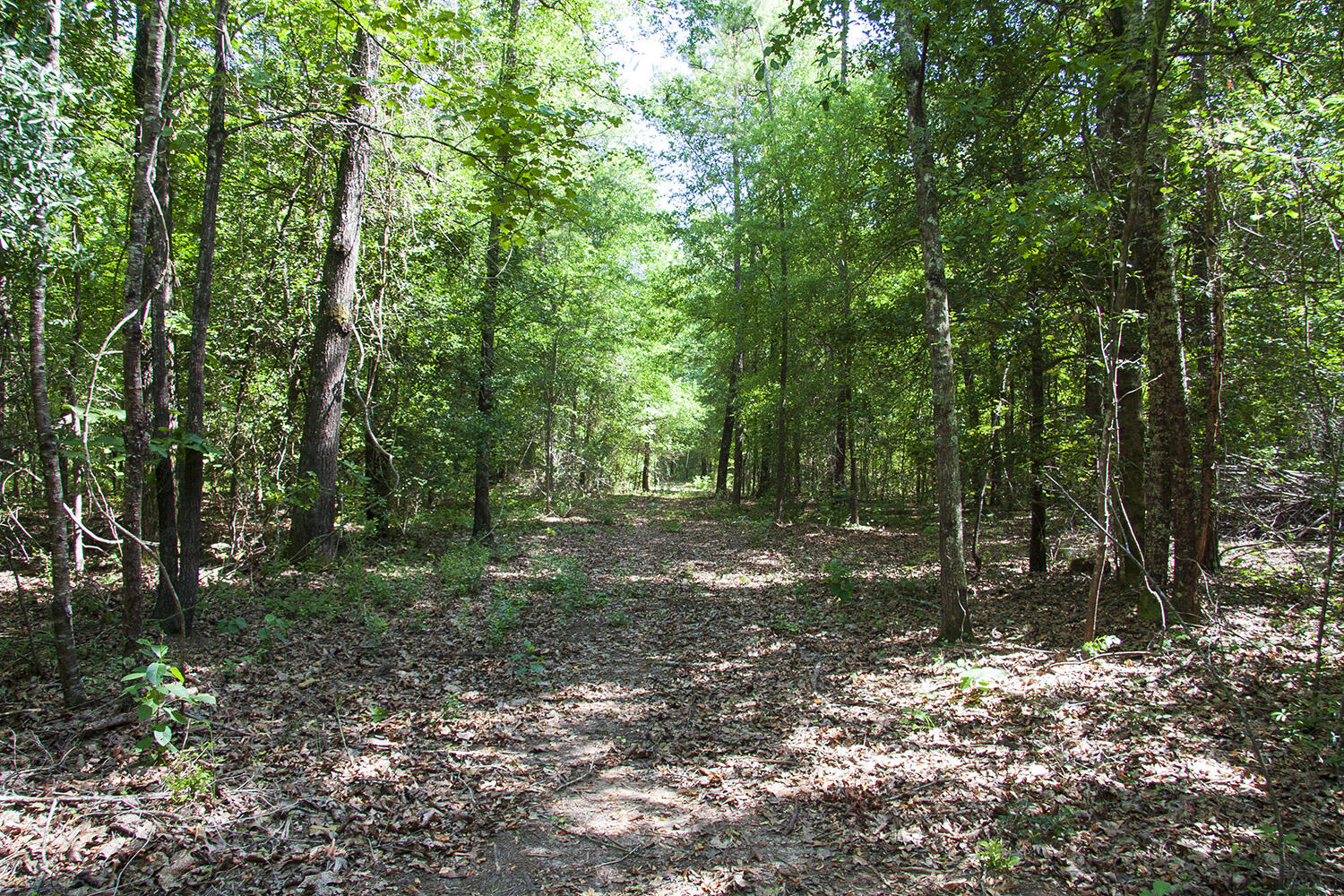 1515C HEPHZIBAH - MCBEAN Road, Hephzibah, GA, 30815