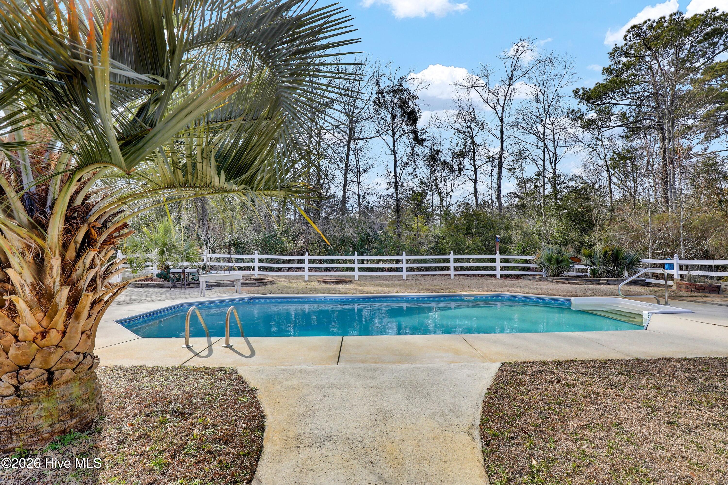 100555539 | Photo 41