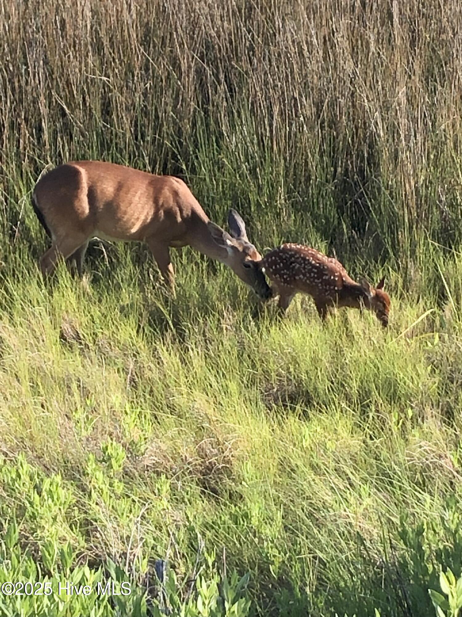 100548122 | Photo 62