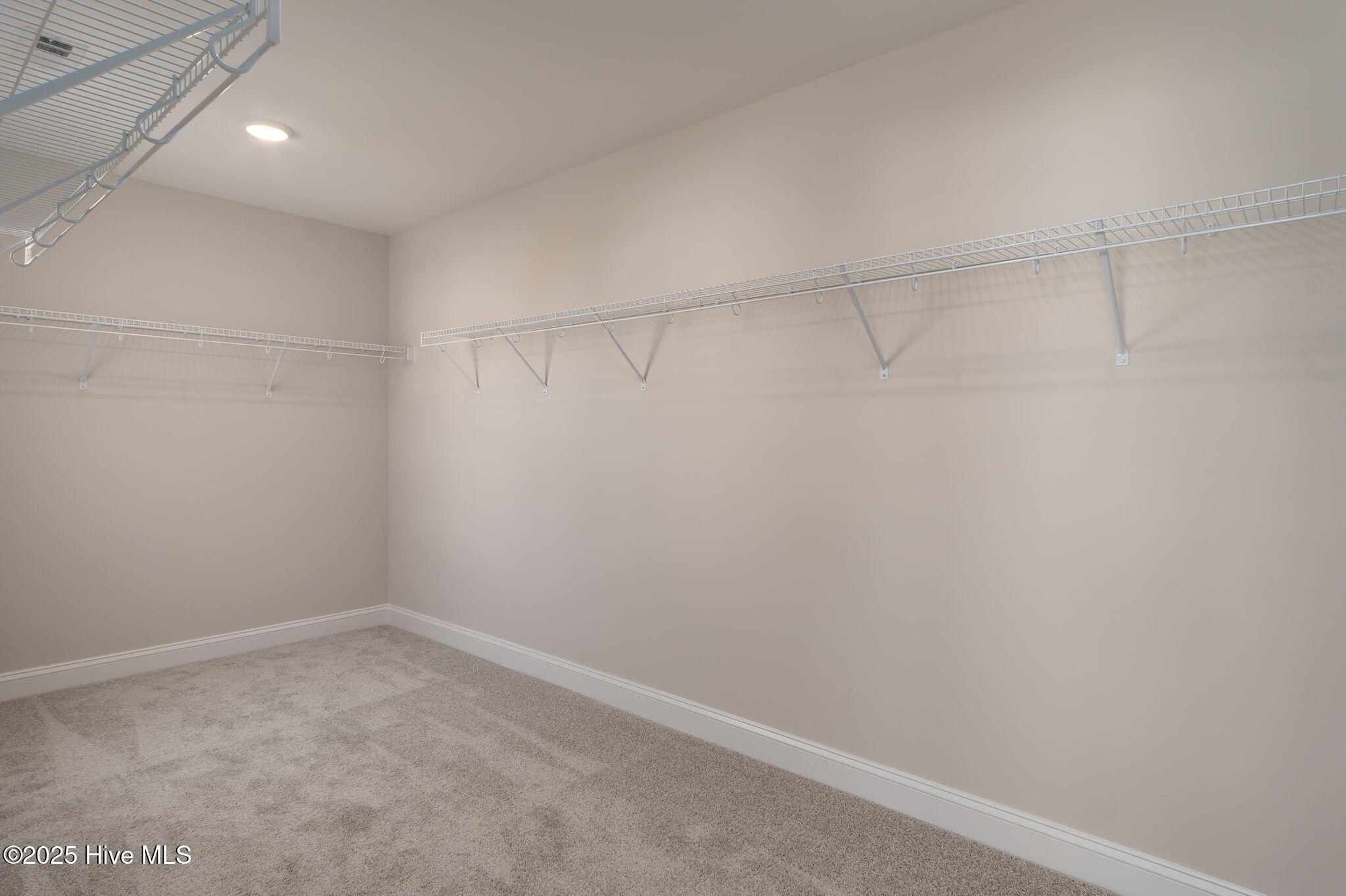 100531005 | Photo 29