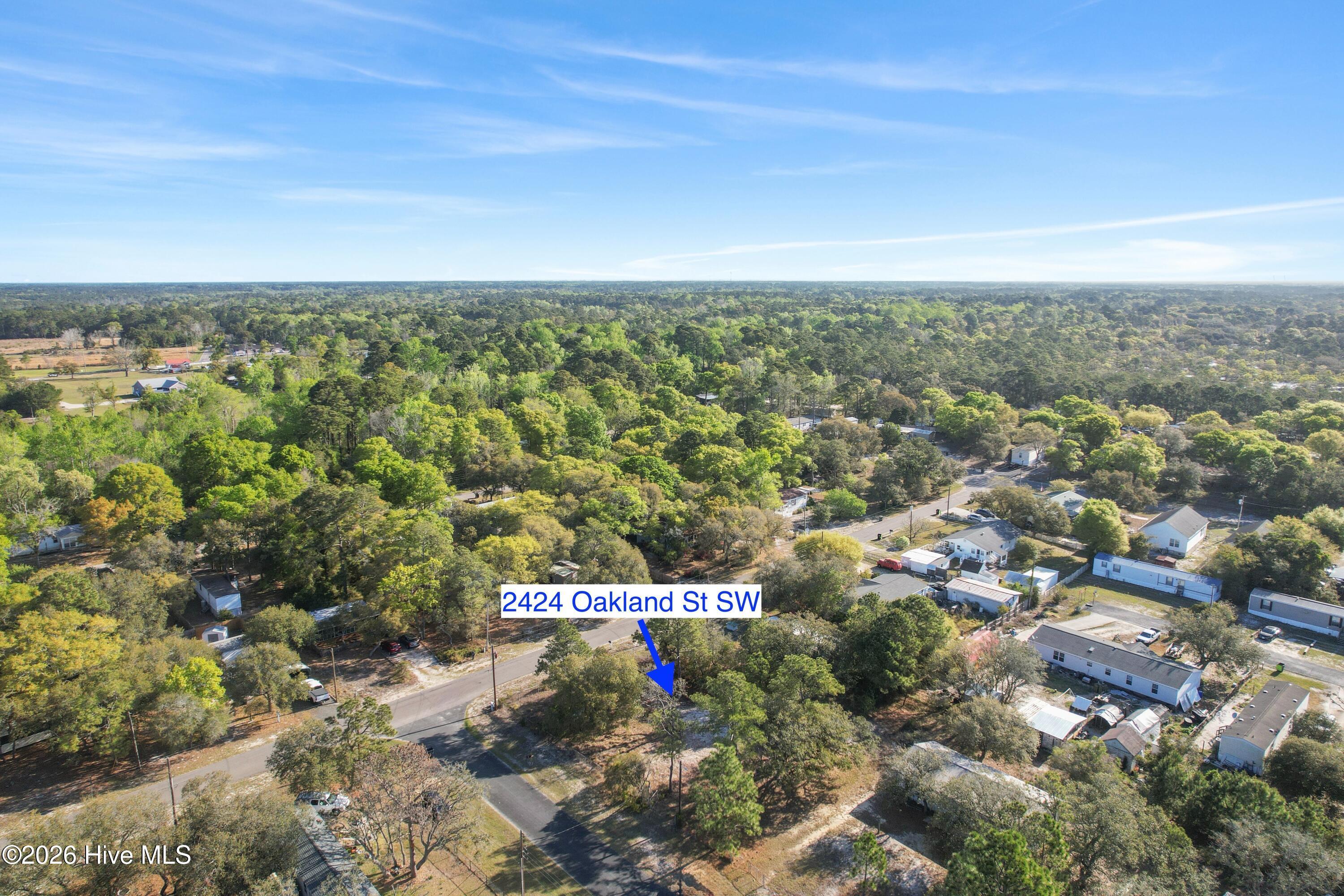 100566434 | Photo 15