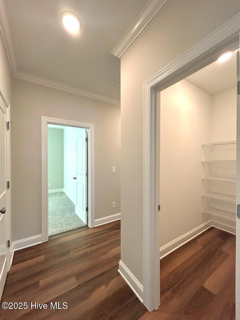 100510187 | Photo 56