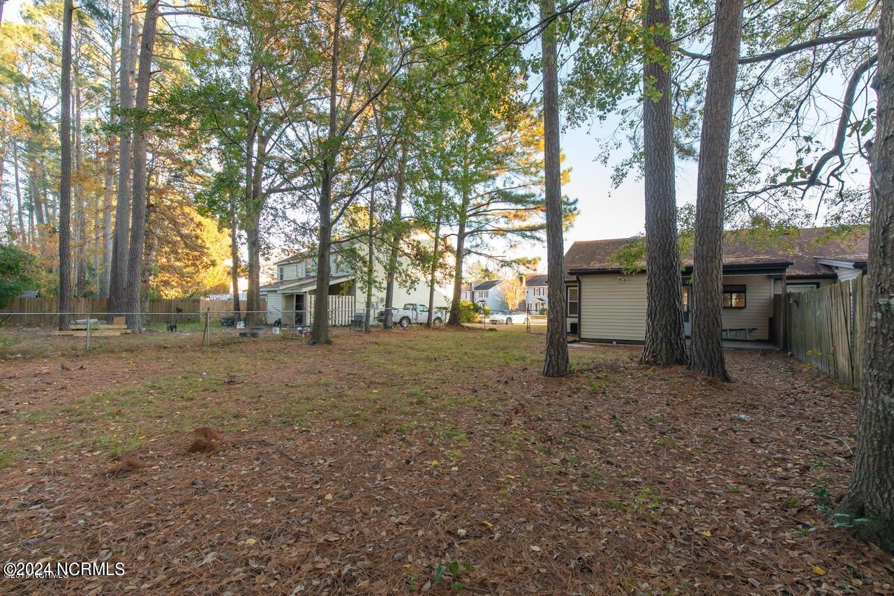 100560066 | Photo 25