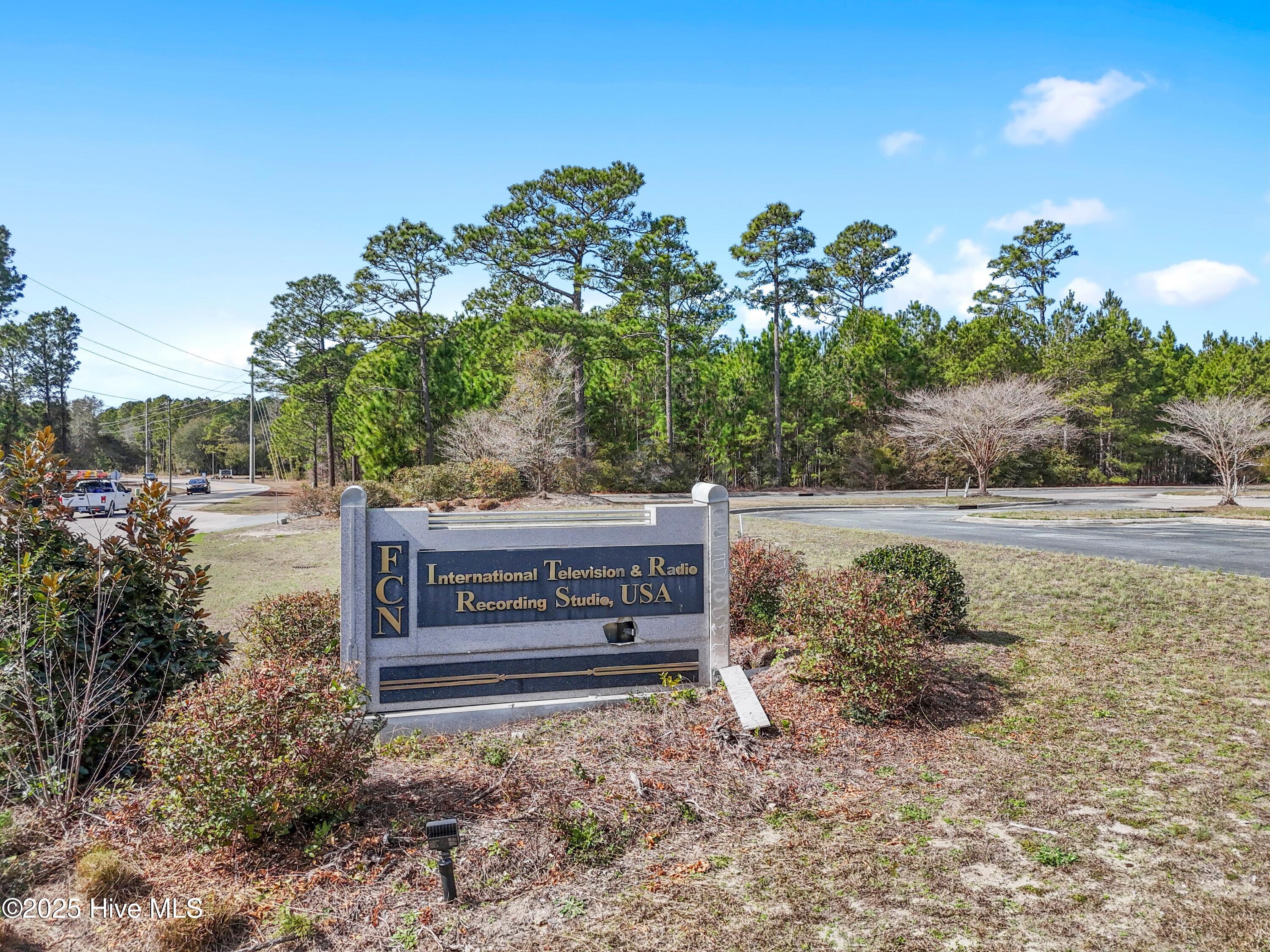 100491717 | Photo 105