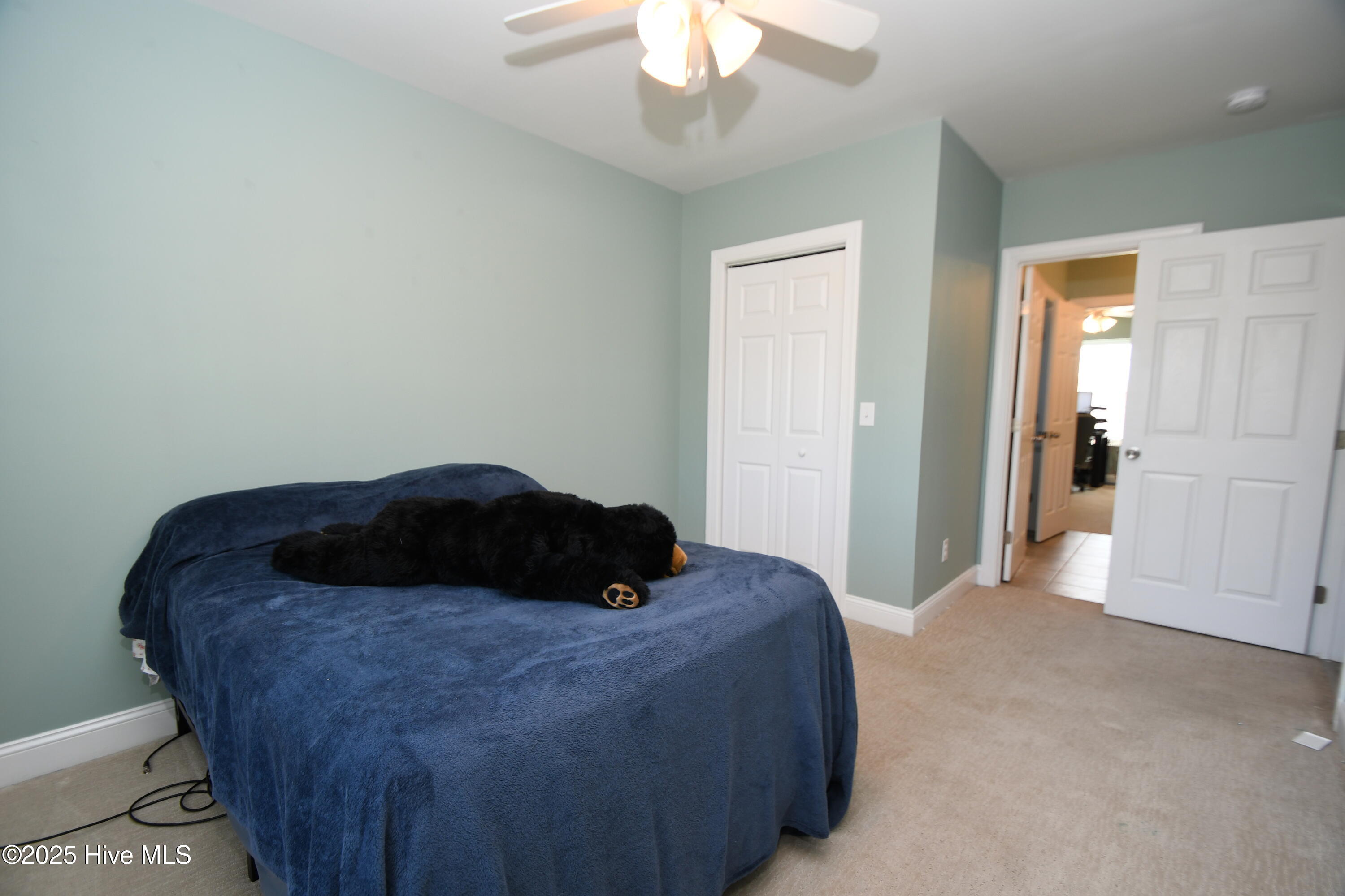 100537590 | Photo 26