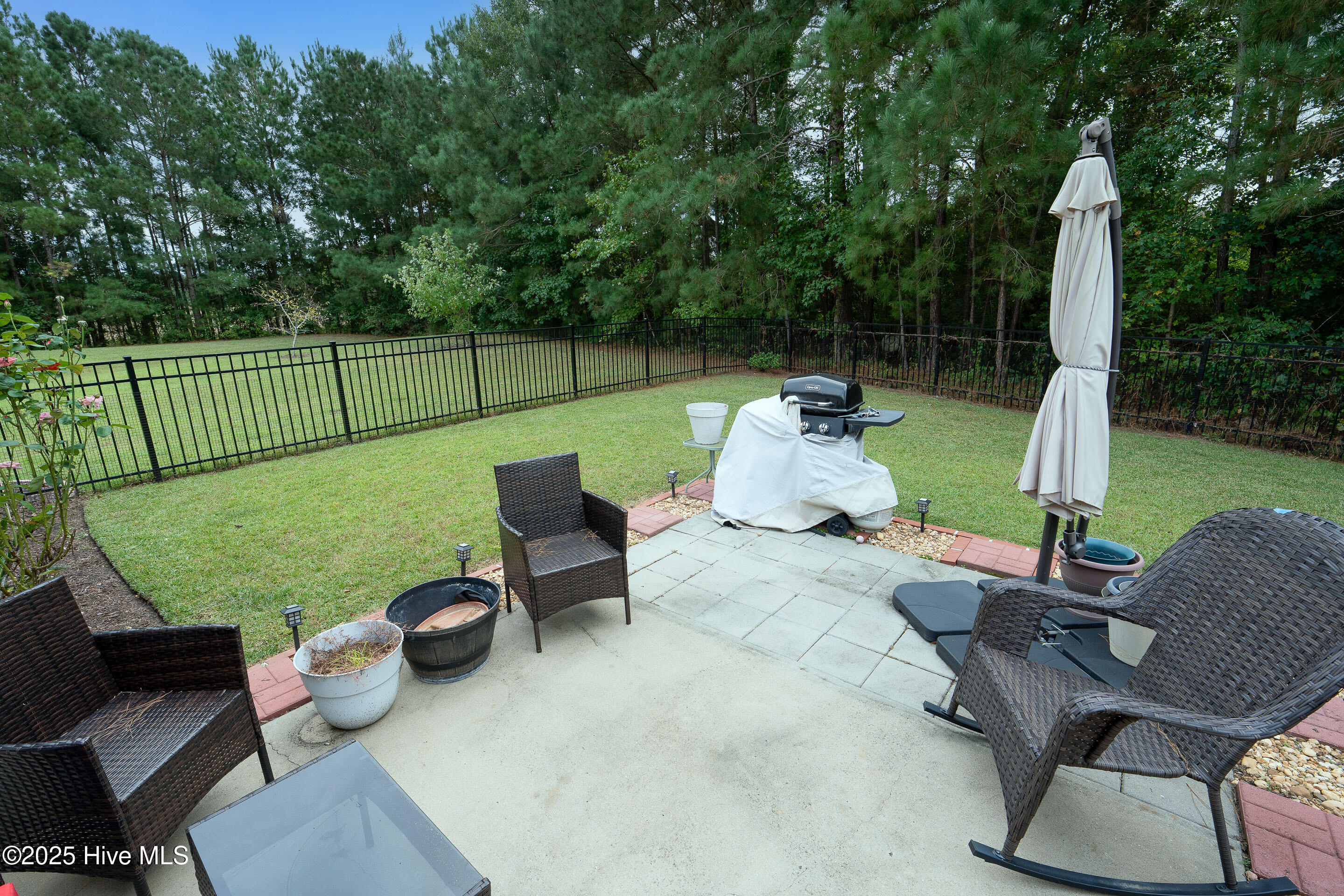 100533720 | Photo 33