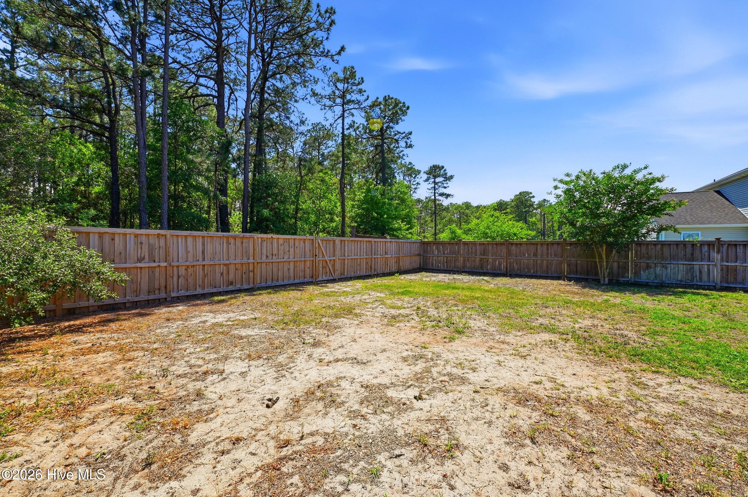 100567137 | Photo 41