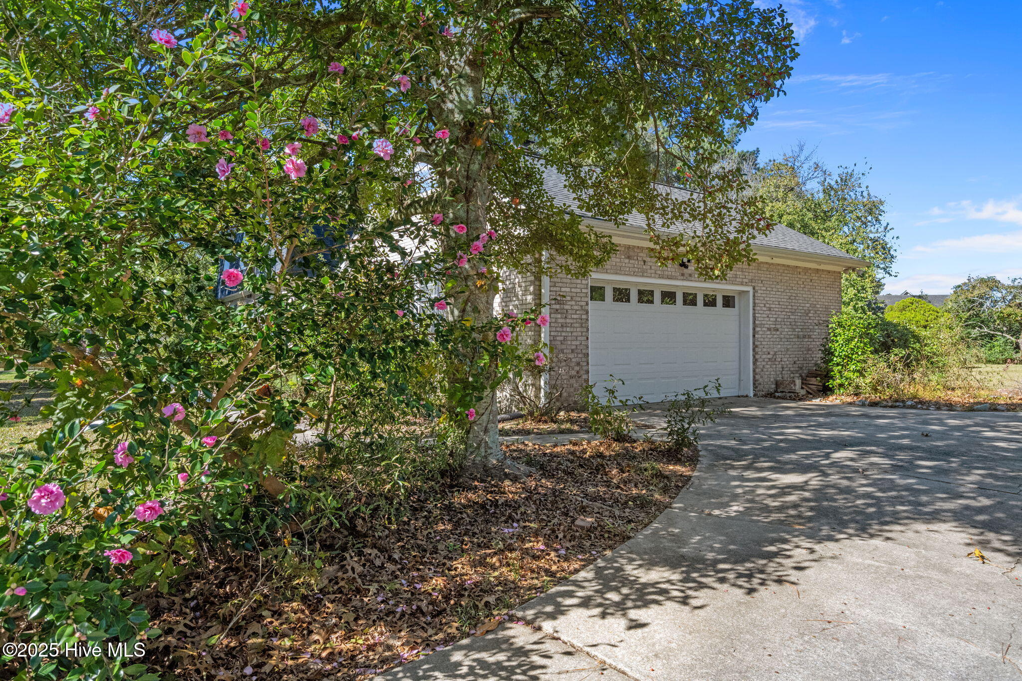 100537375 | Photo 43