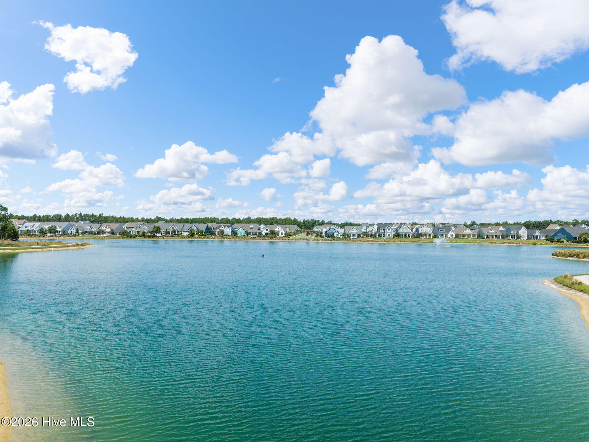 100561271 | Photo 65