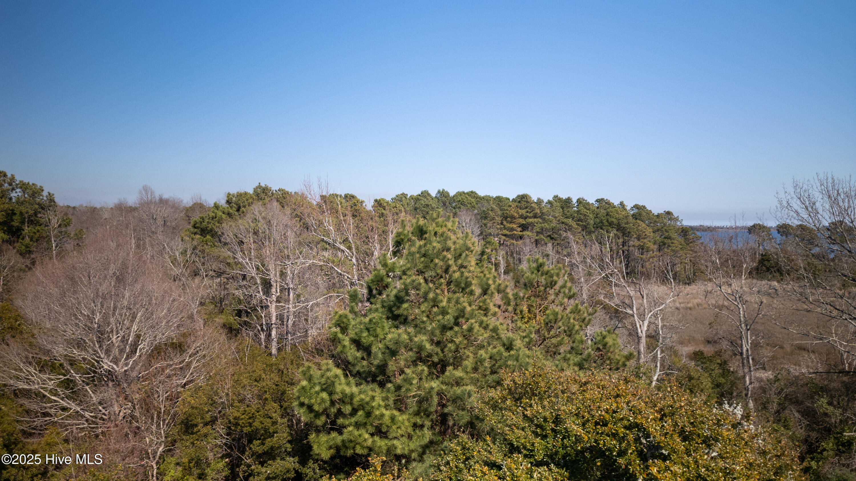 100471898 | Photo 18