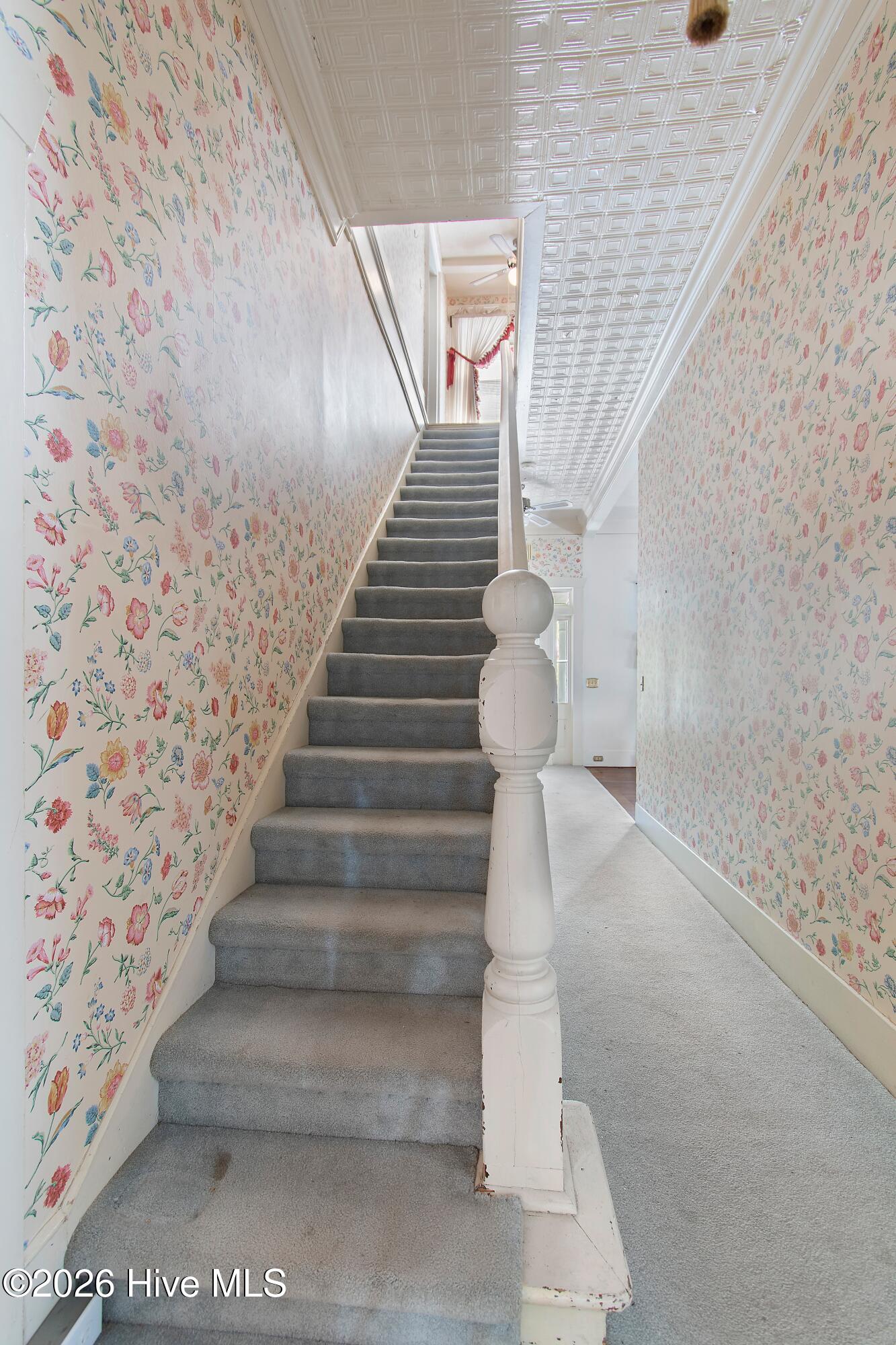 100566206 | Photo 39