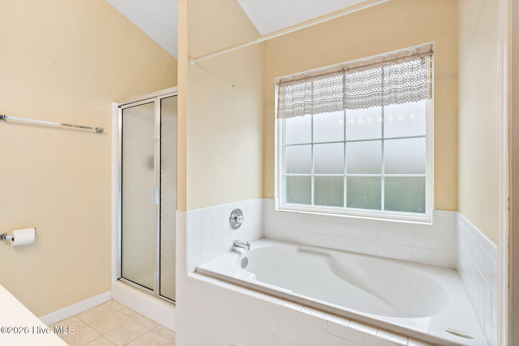 100558040 | Photo 29