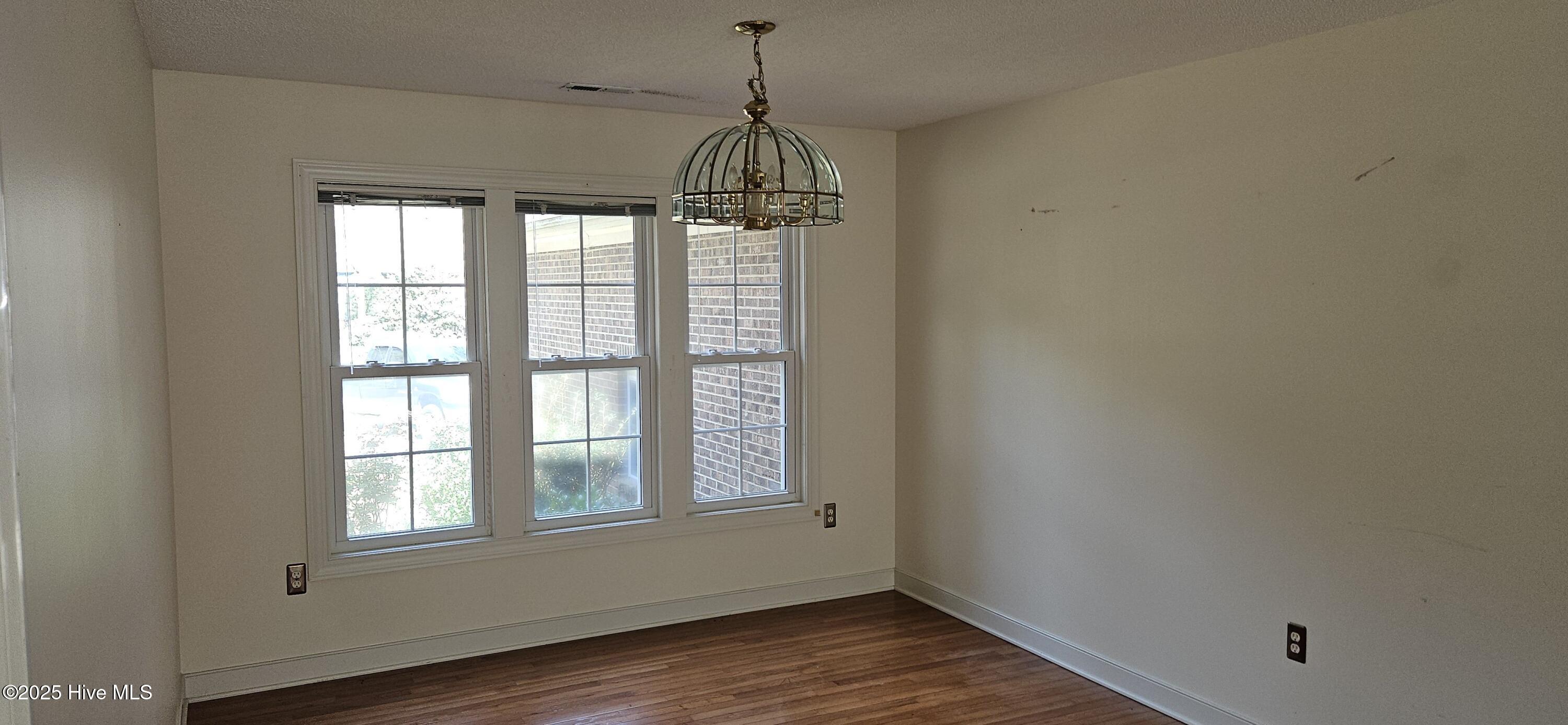 20250328_151002_copy_4000x1848