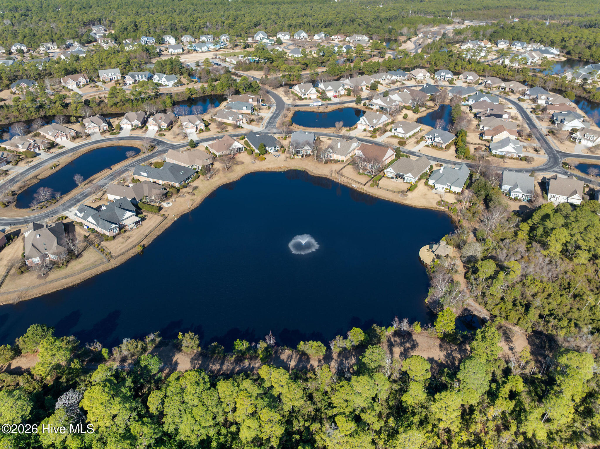 100554560 | Photo 55