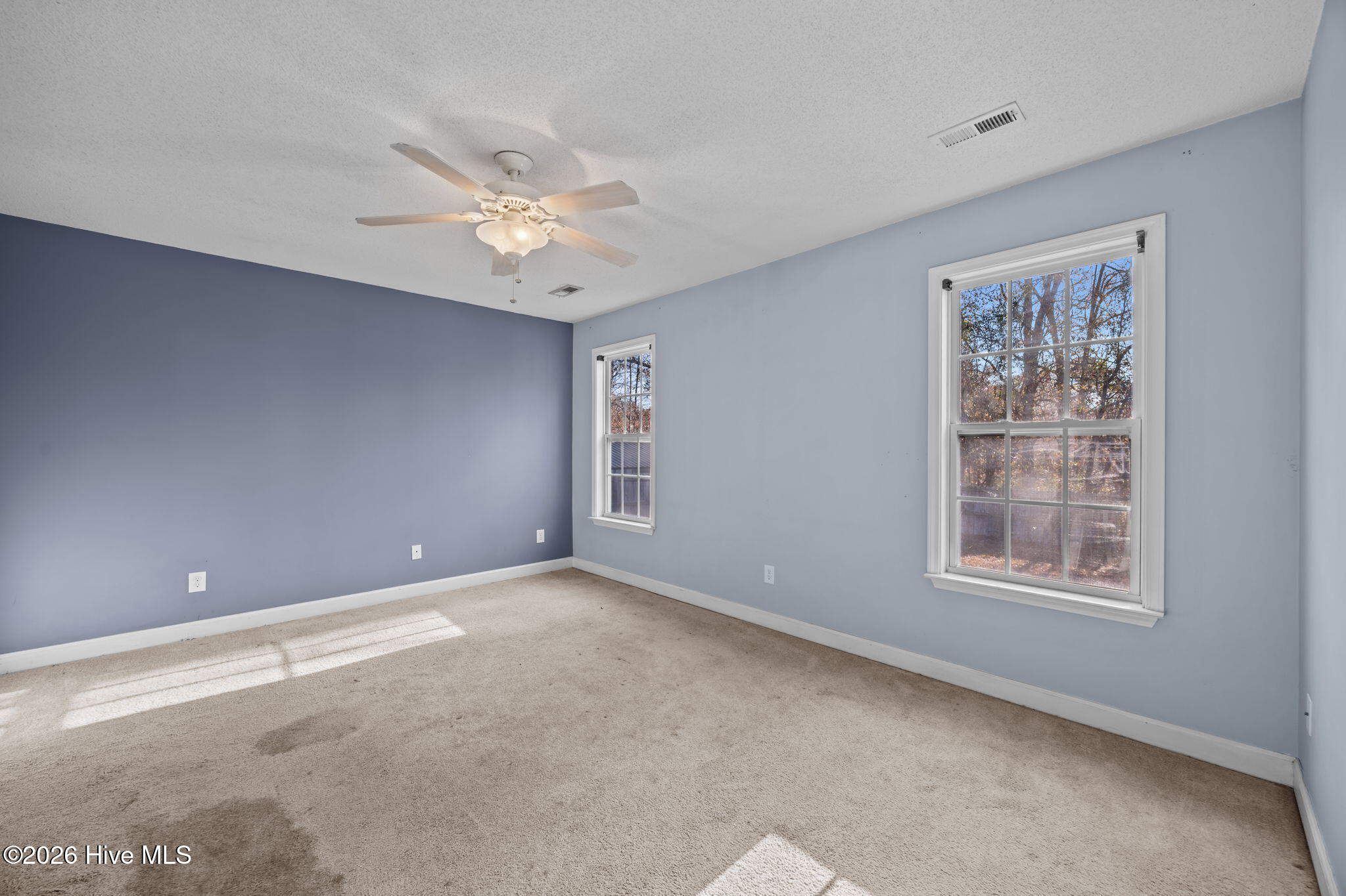 100522490 | Photo 19