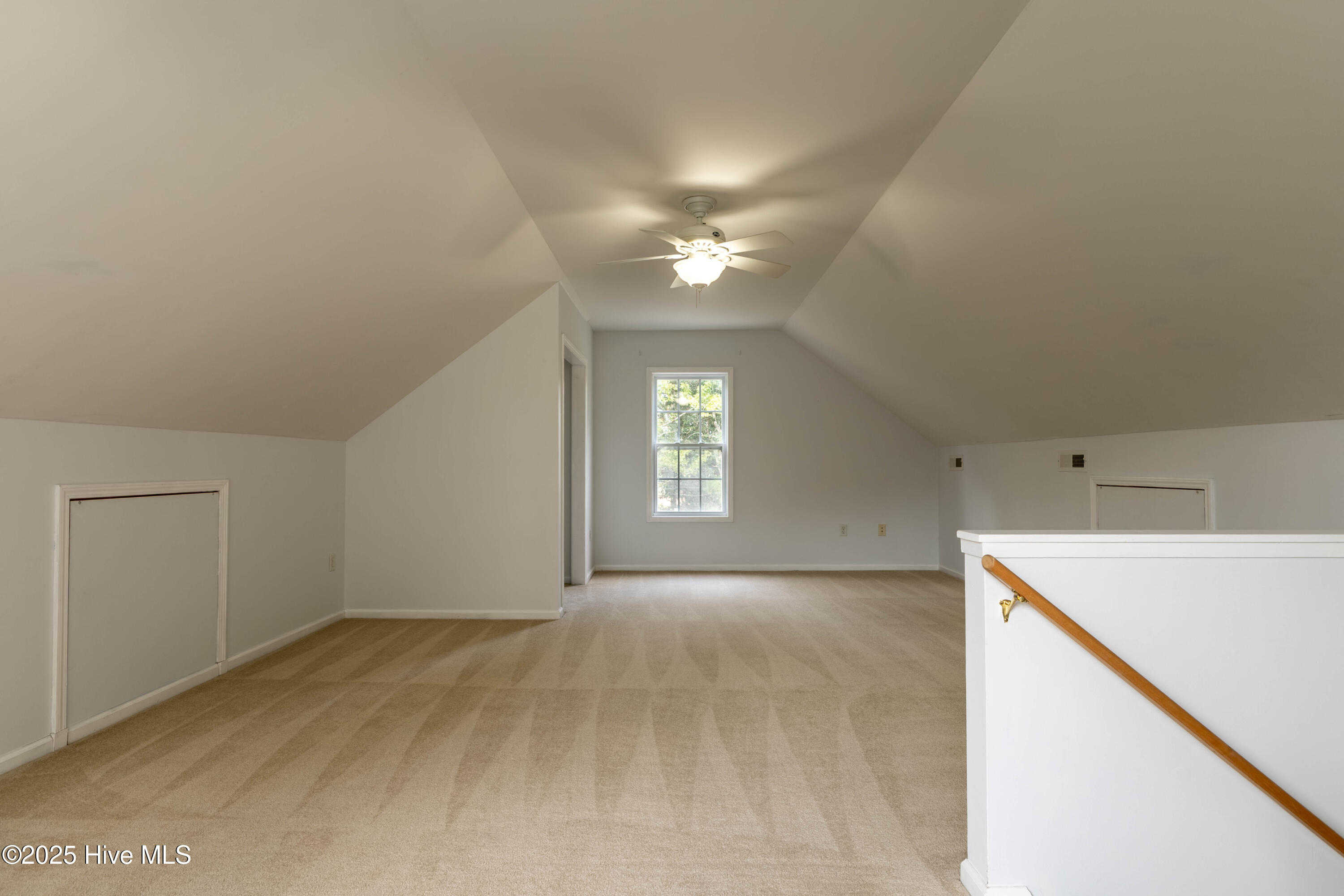 100535592 | Photo 38