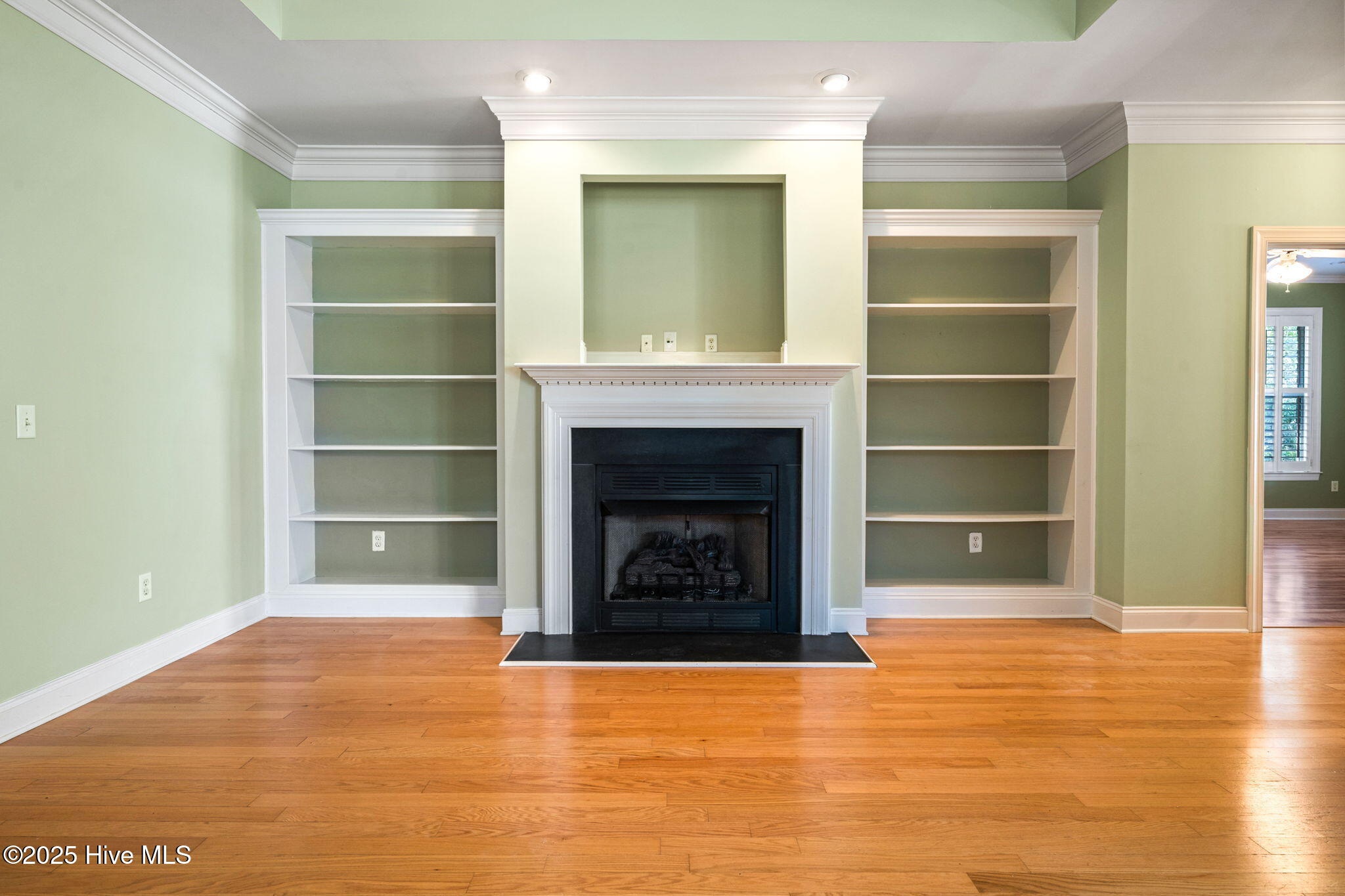 100538167 | Photo 14