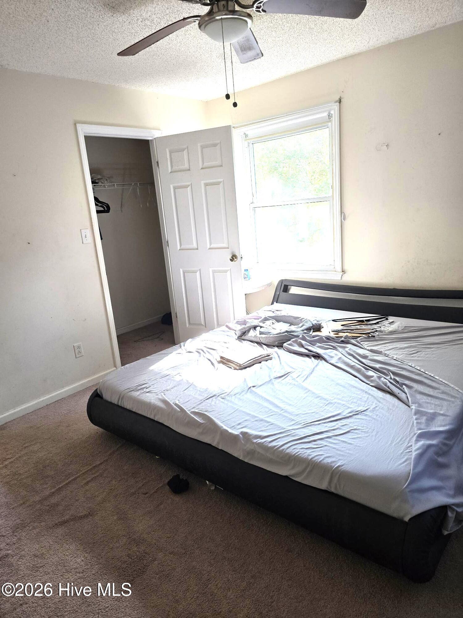 100567679 | Photo 13