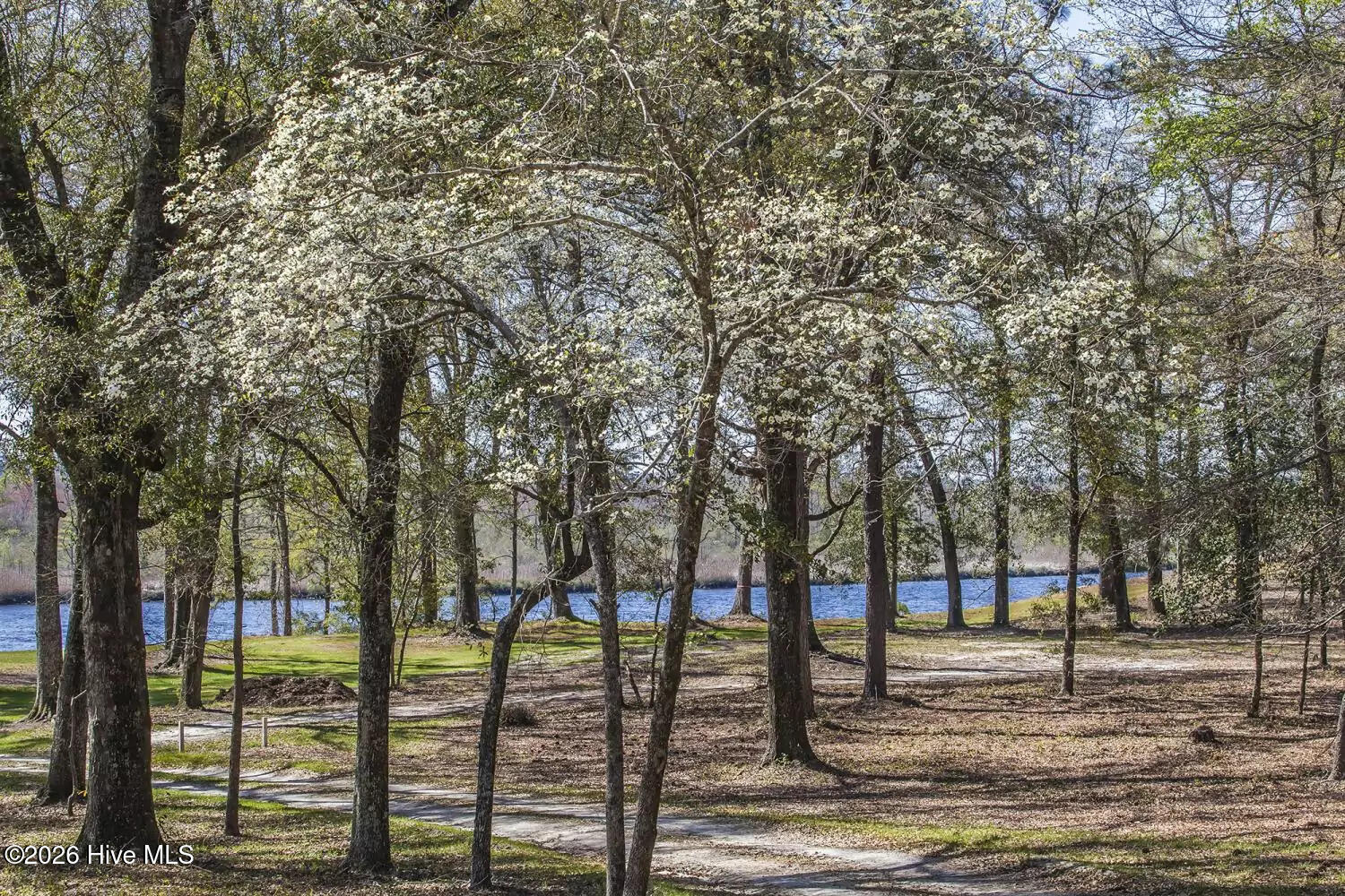 100547594 | Photo 53