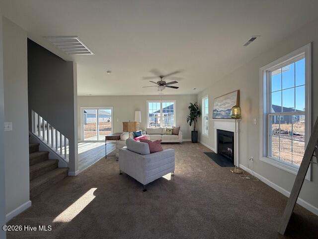 100539065 | Photo 49