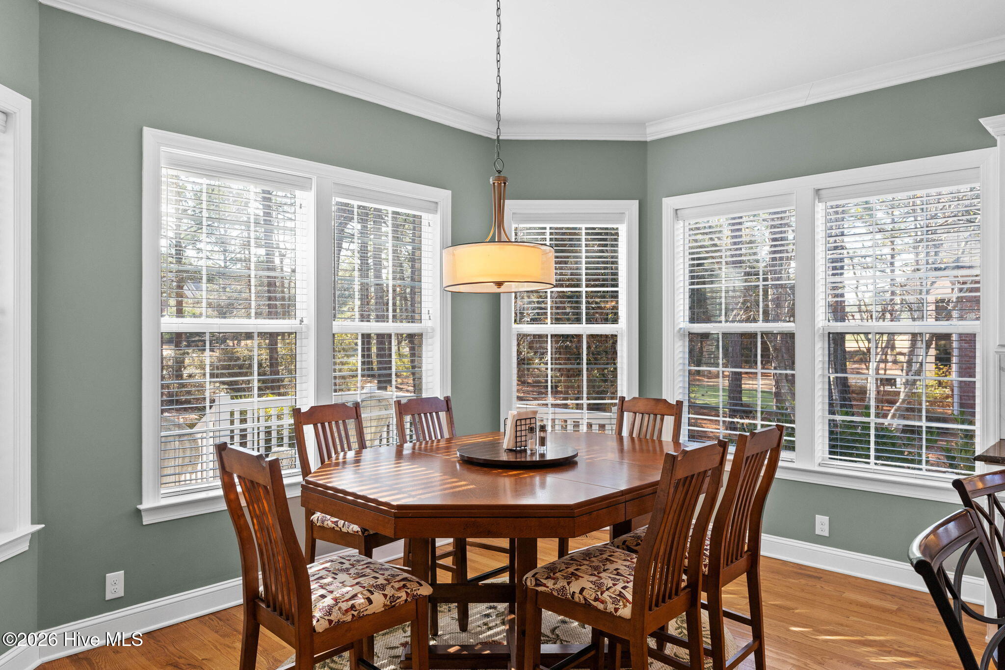 100553770 | Photo 15