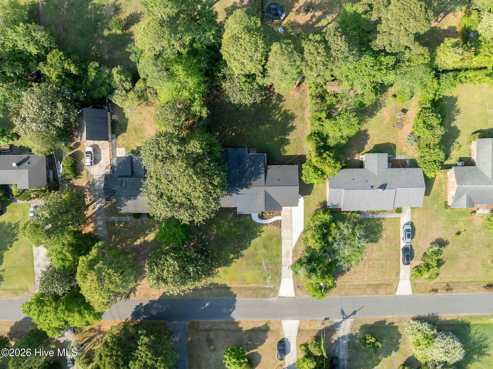 100569769 | Photo 67